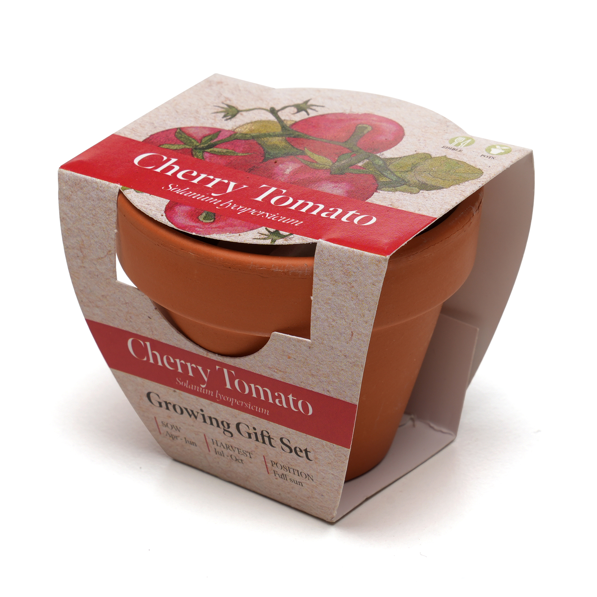 Picture of Standard Growing Gift with Mini Terracotta Pot