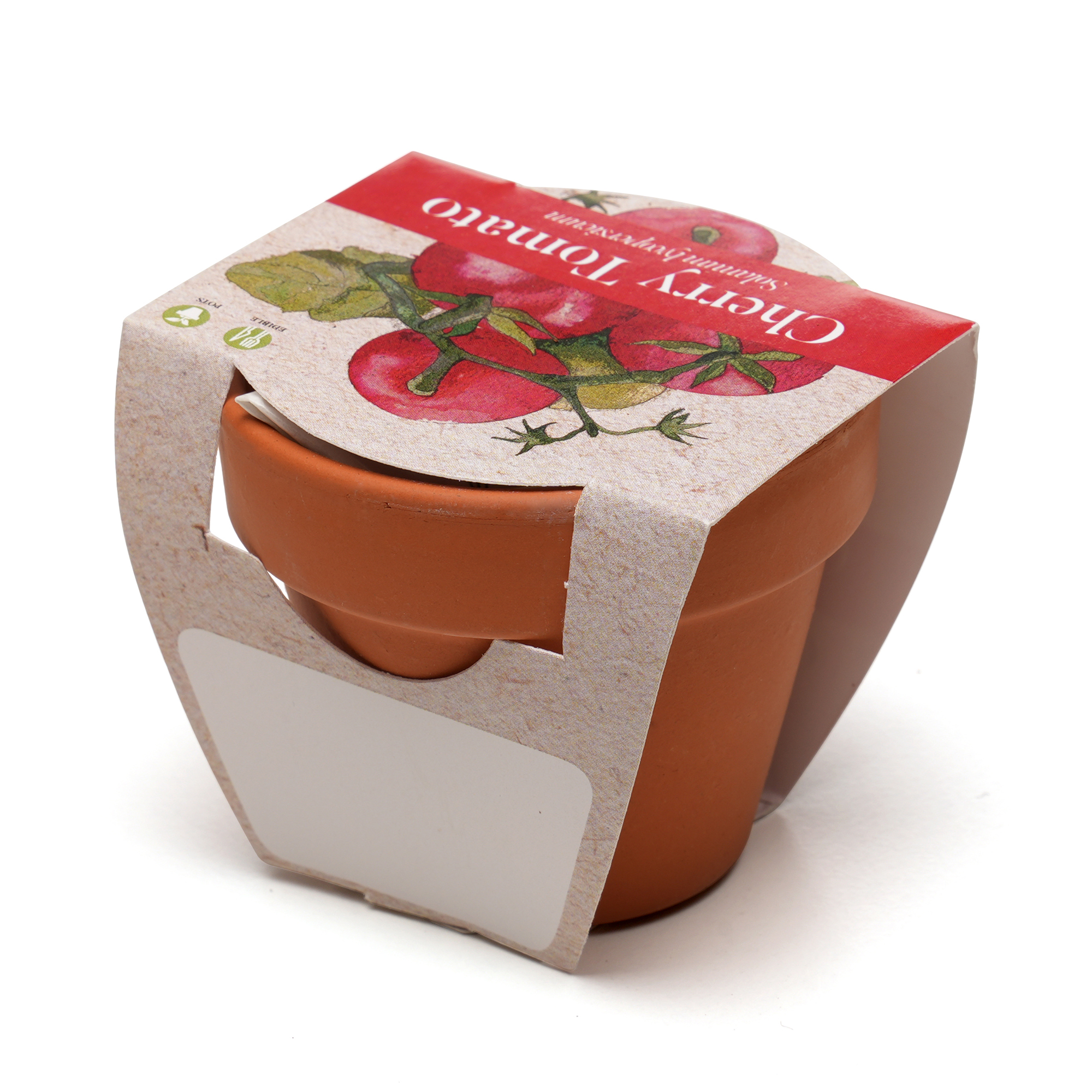 Picture of Standard Growing Gift with Mini Terracotta Pot