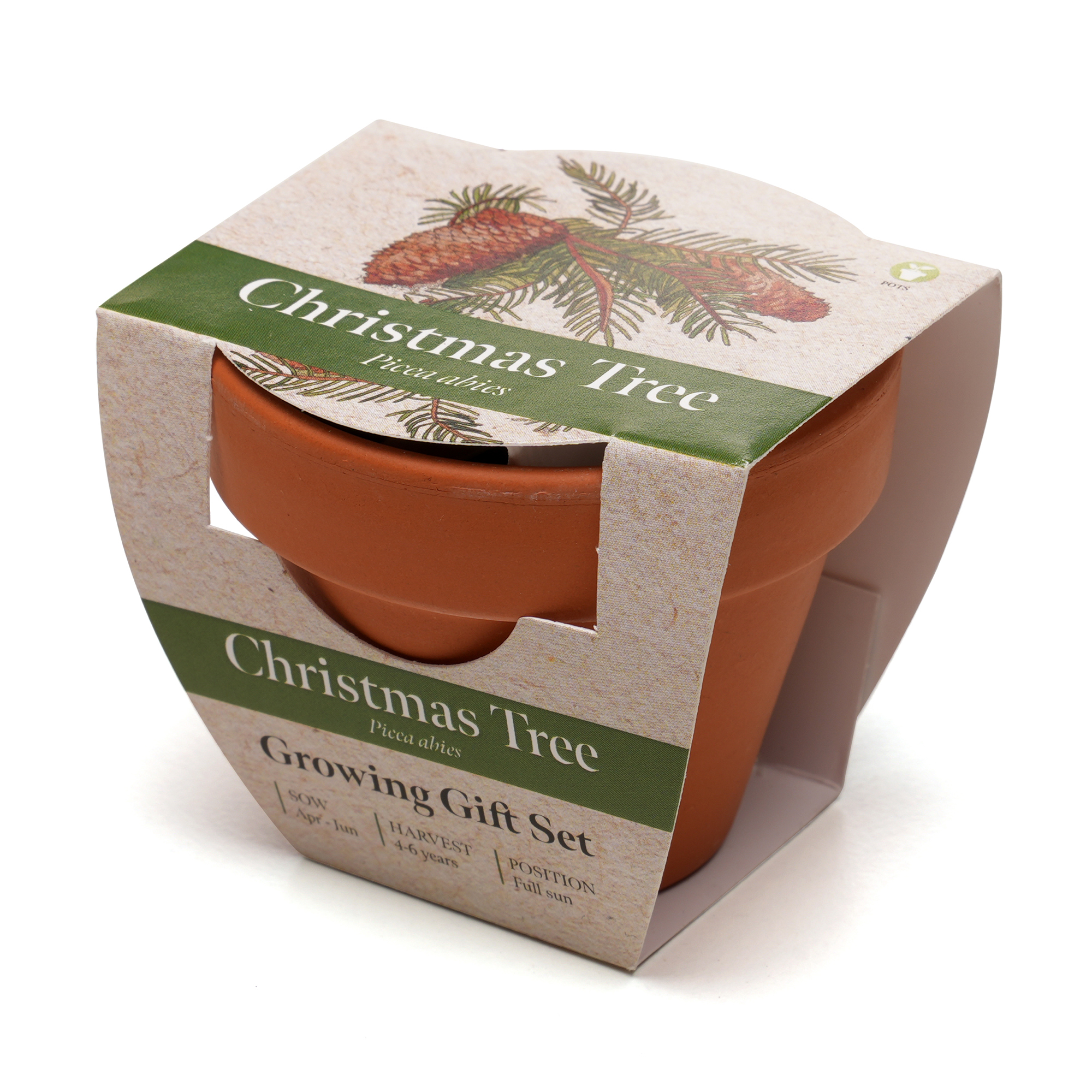 Picture of Standard Growing Gift with Mini Terracotta Pot