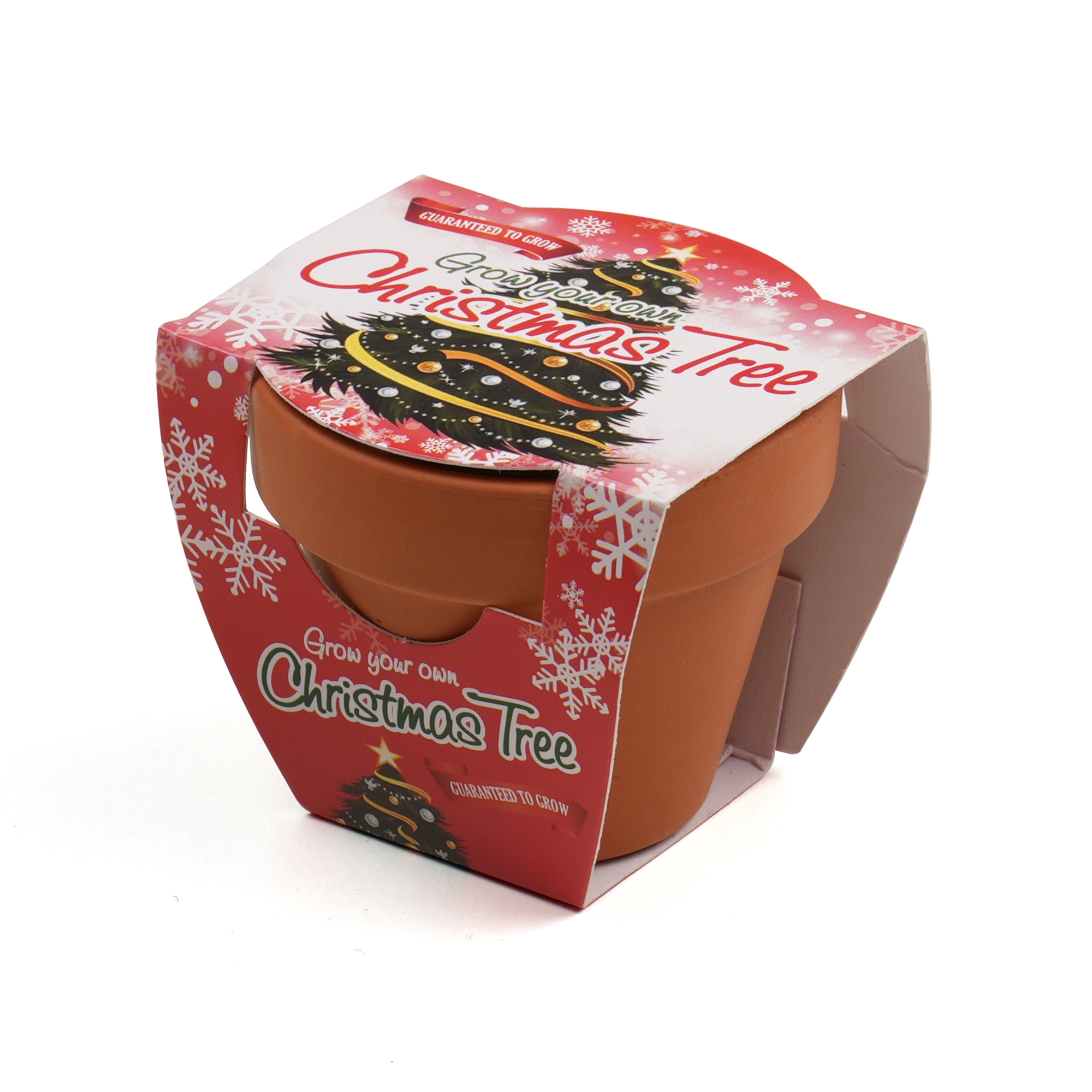 Picture of Standard Growing Gift with Mini Terracotta Pot