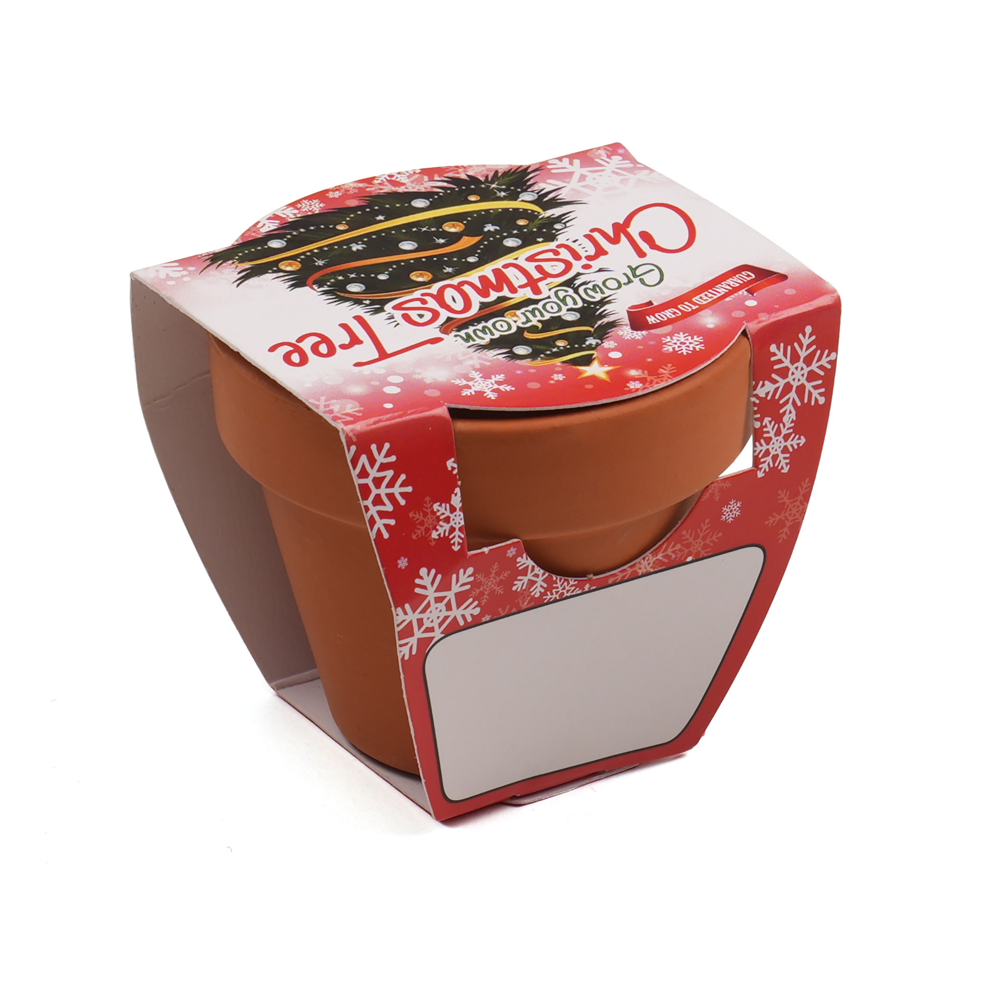Picture of Standard Growing Gift with Mini Terracotta Pot