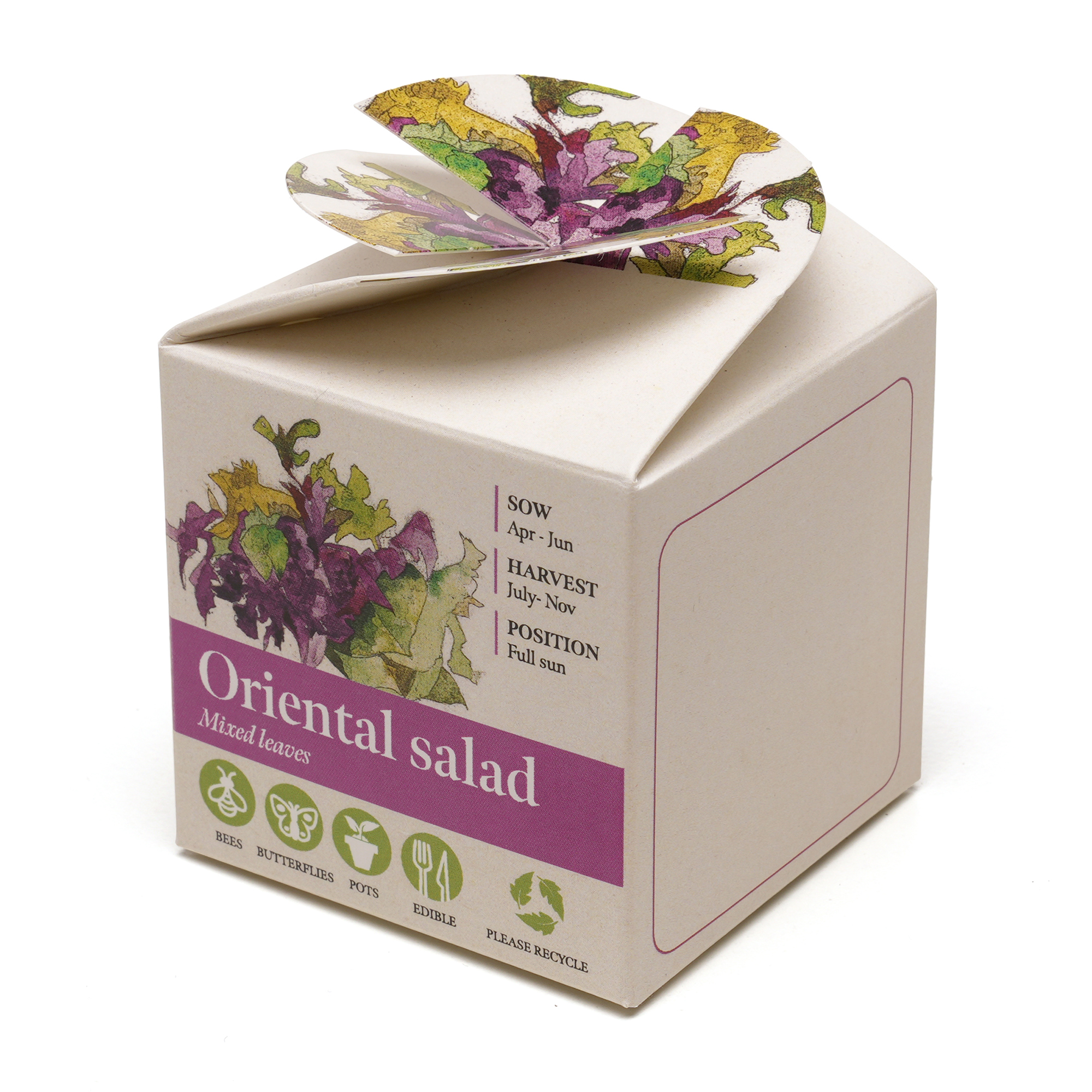 Picture of Mini Box Seed Kit