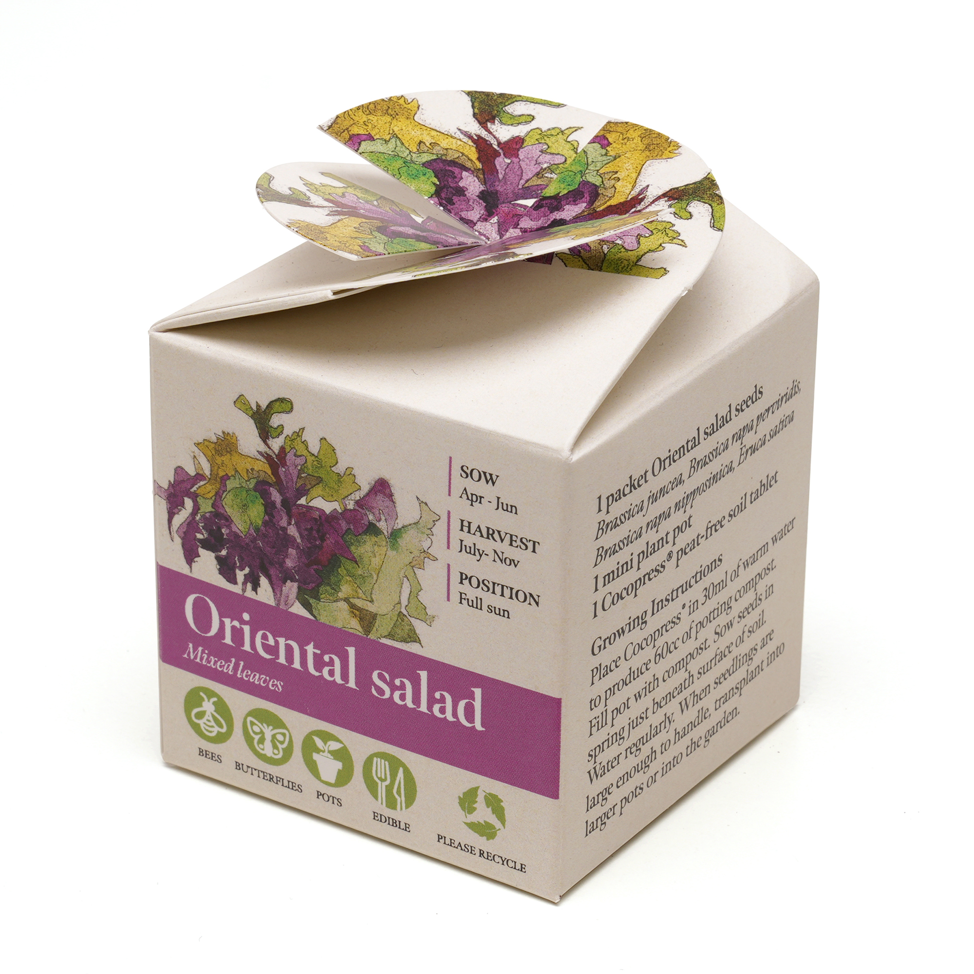 Picture of Mini Box Seed Kit