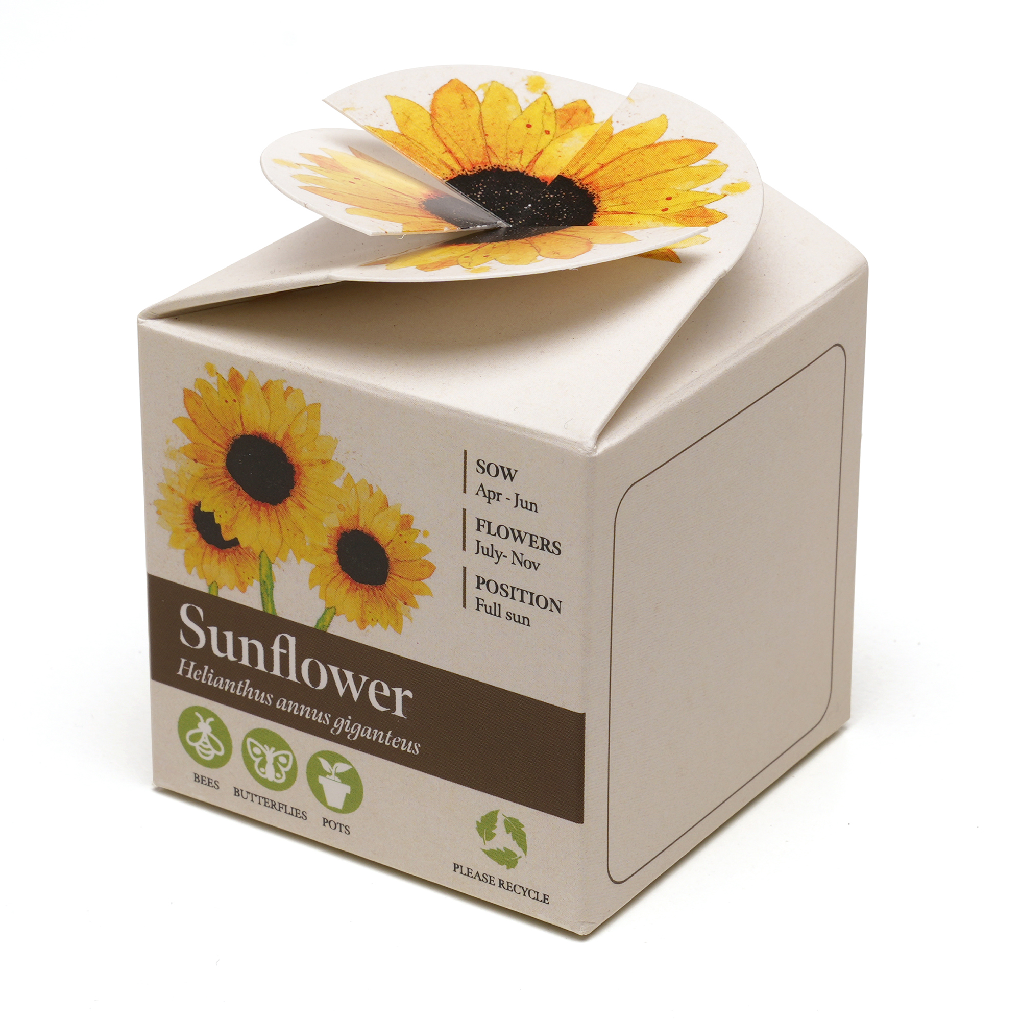 Picture of Mini Box Seed Kit