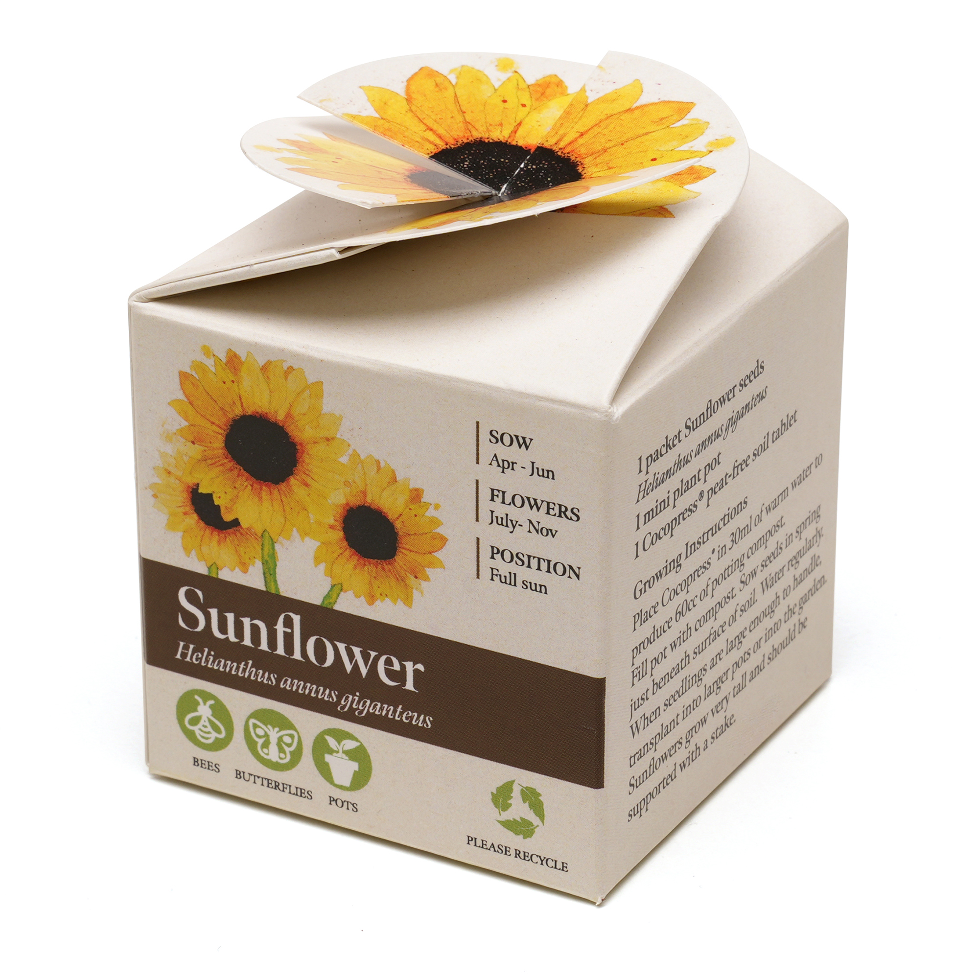 Picture of Mini Box Seed Kit