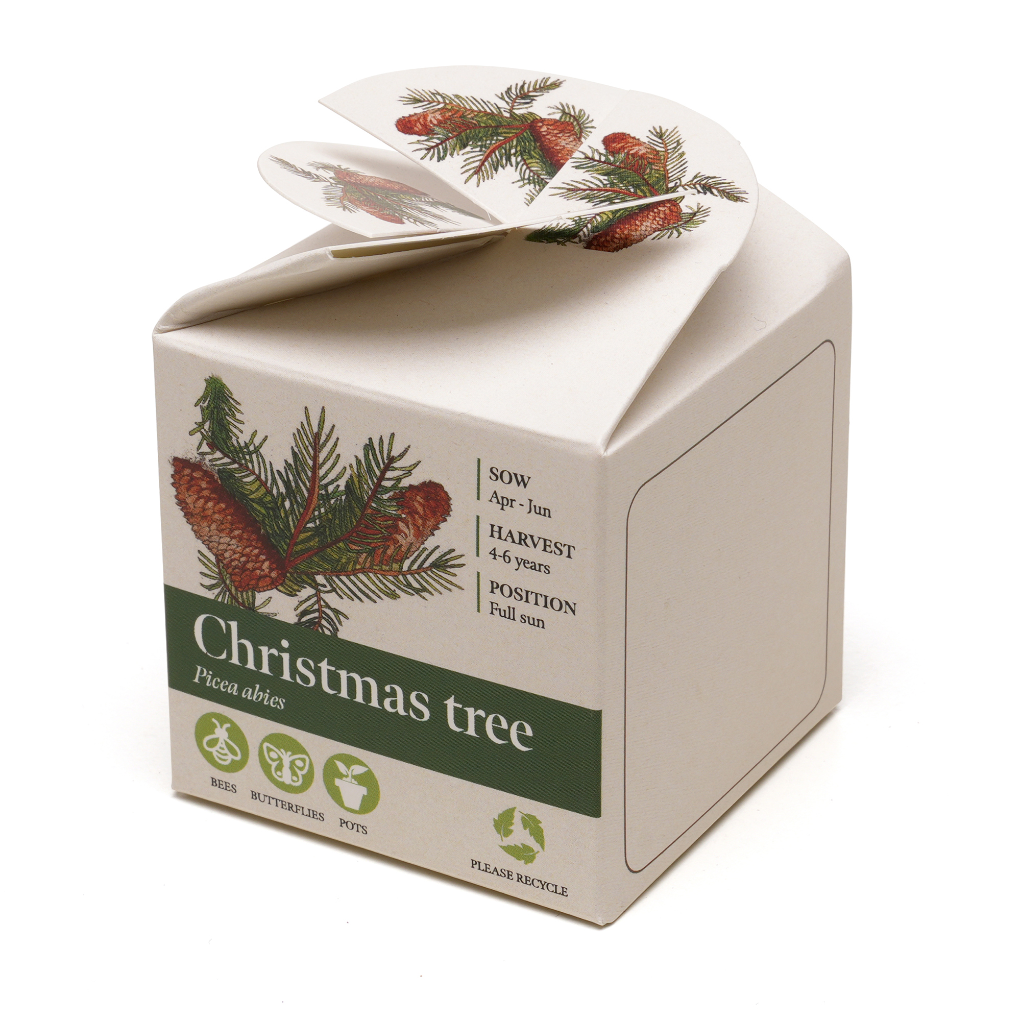 Picture of Mini Box Seed Kit