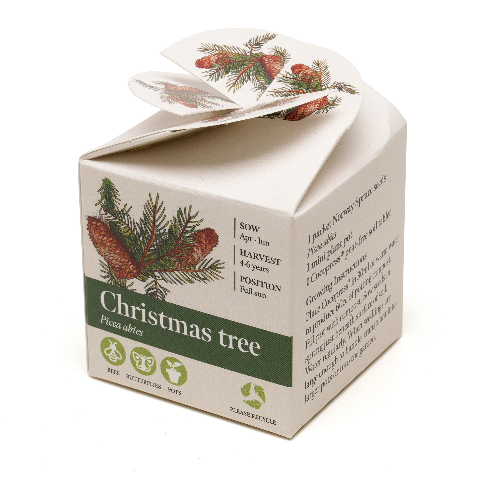 Picture of Mini Box Seed Kit