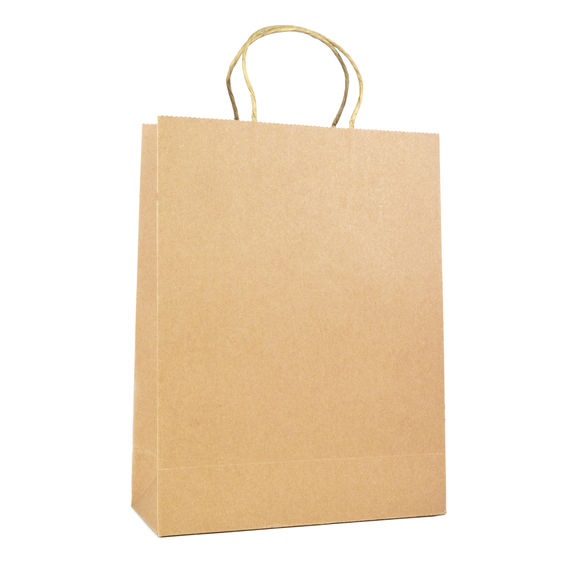 Picture of Brunswick Large Natural Paper Bag