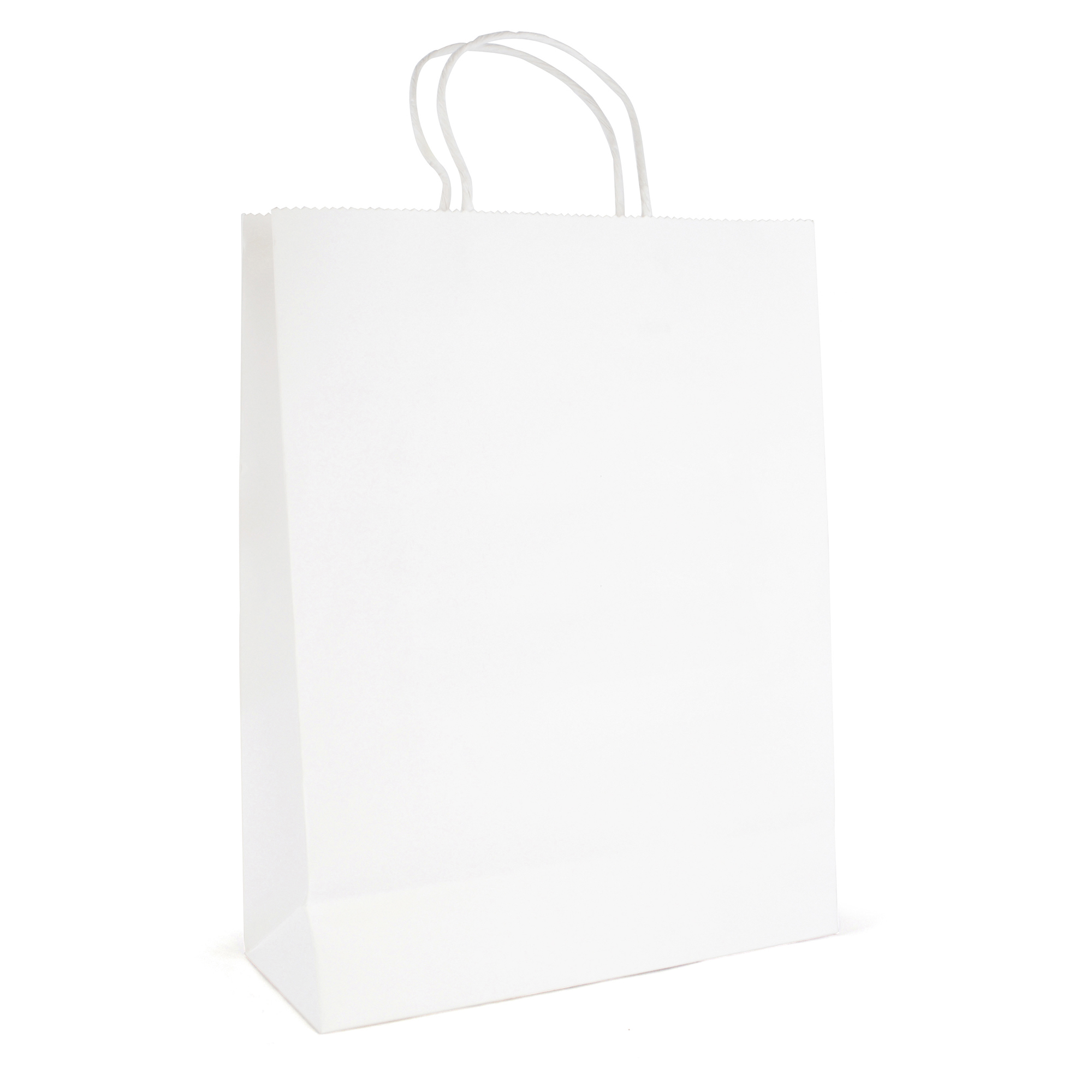 Picture of Brunswick Large White Paper Bag
