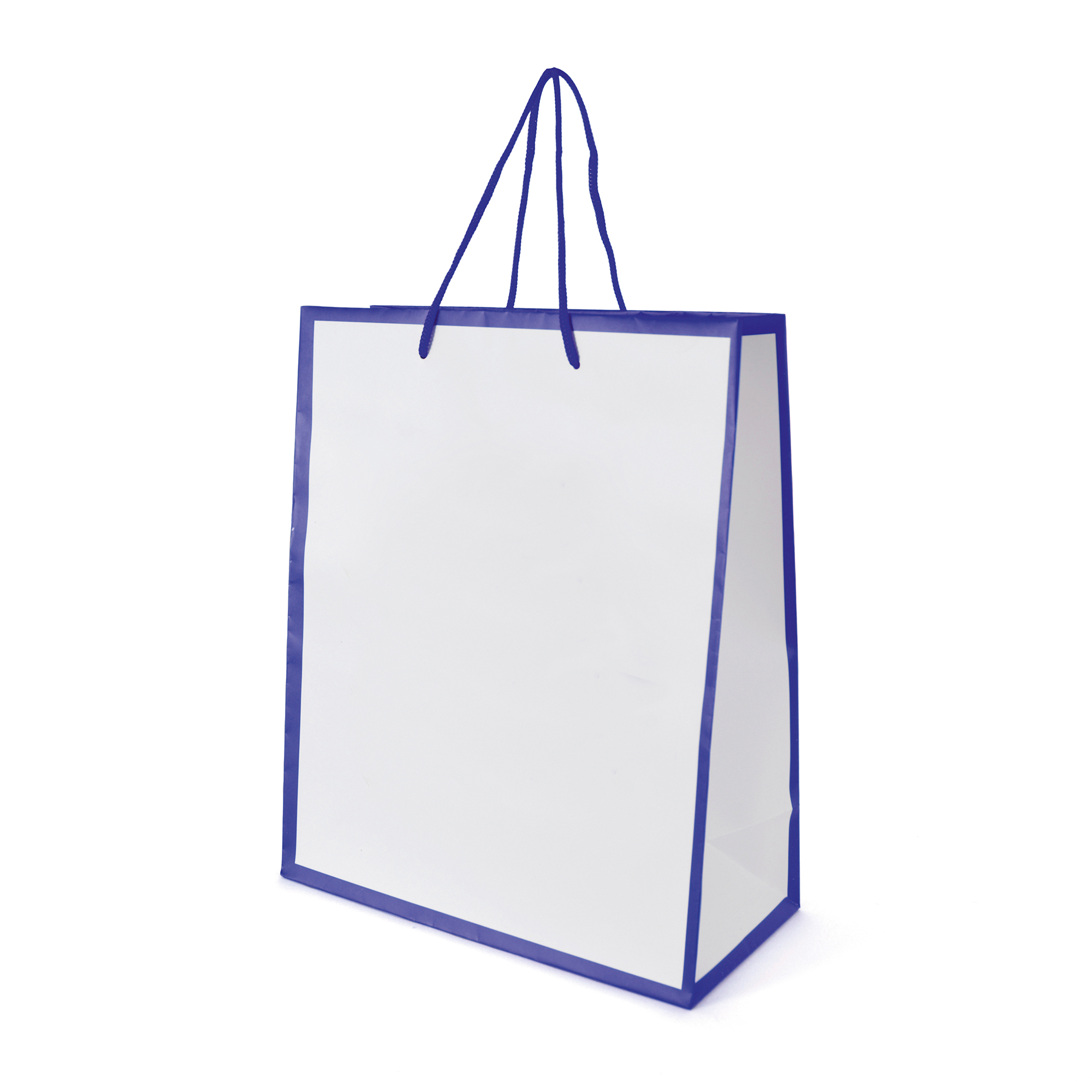 Picture of Newquay Medium Glossy Paper Bag