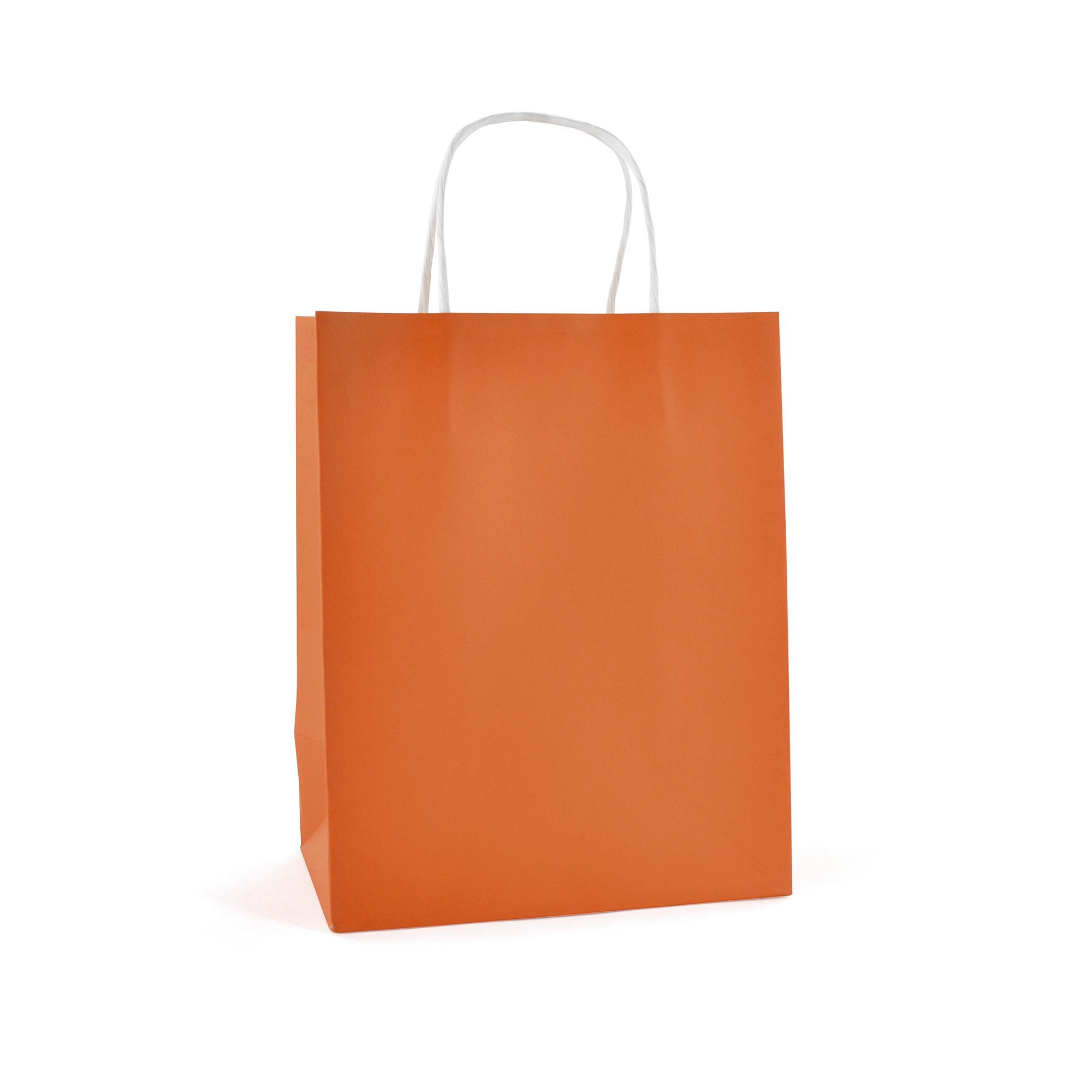 Picture of Brunswick Medium Coloured Paper Bag