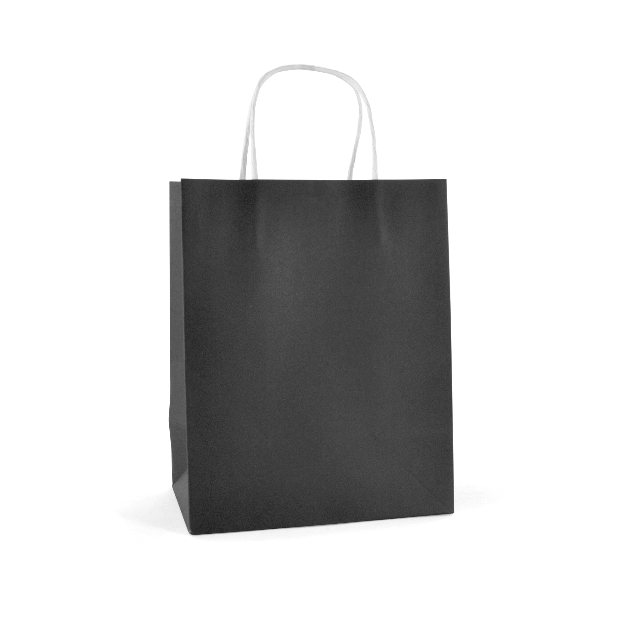 Picture of Brunswick Medium Coloured Paper Bag