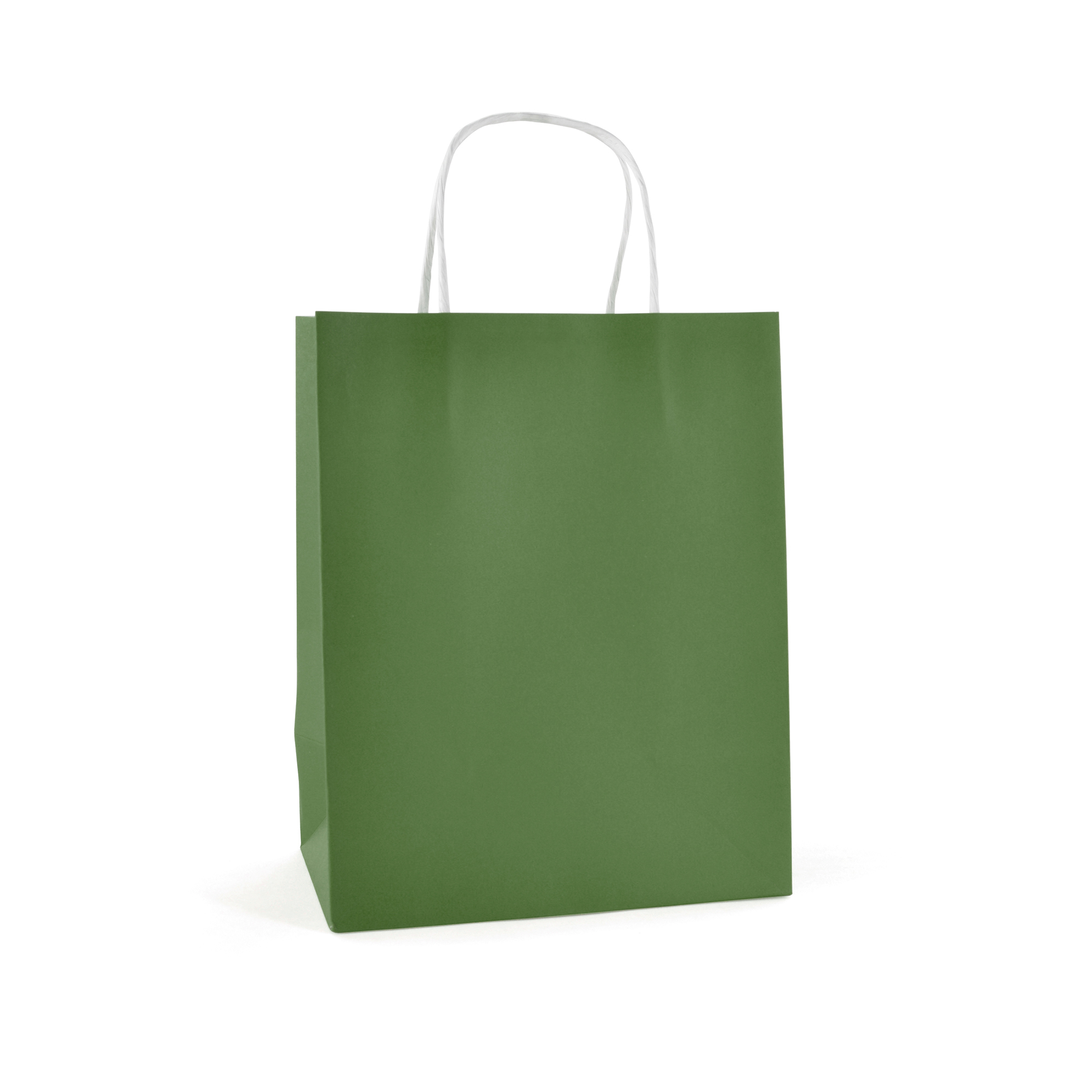 Picture of Brunswick Medium Coloured Paper Bag