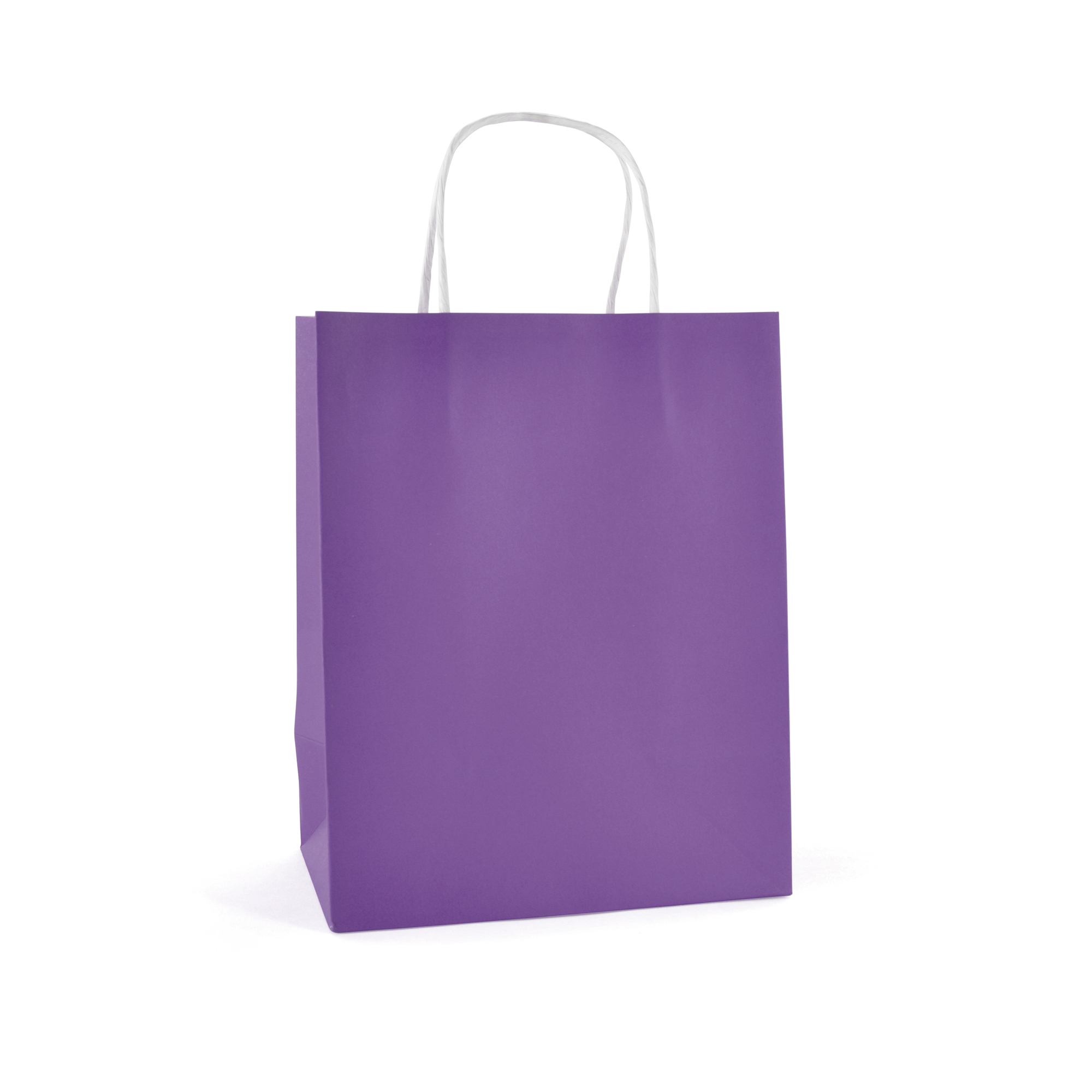 Picture of Brunswick Medium Coloured Paper Bag