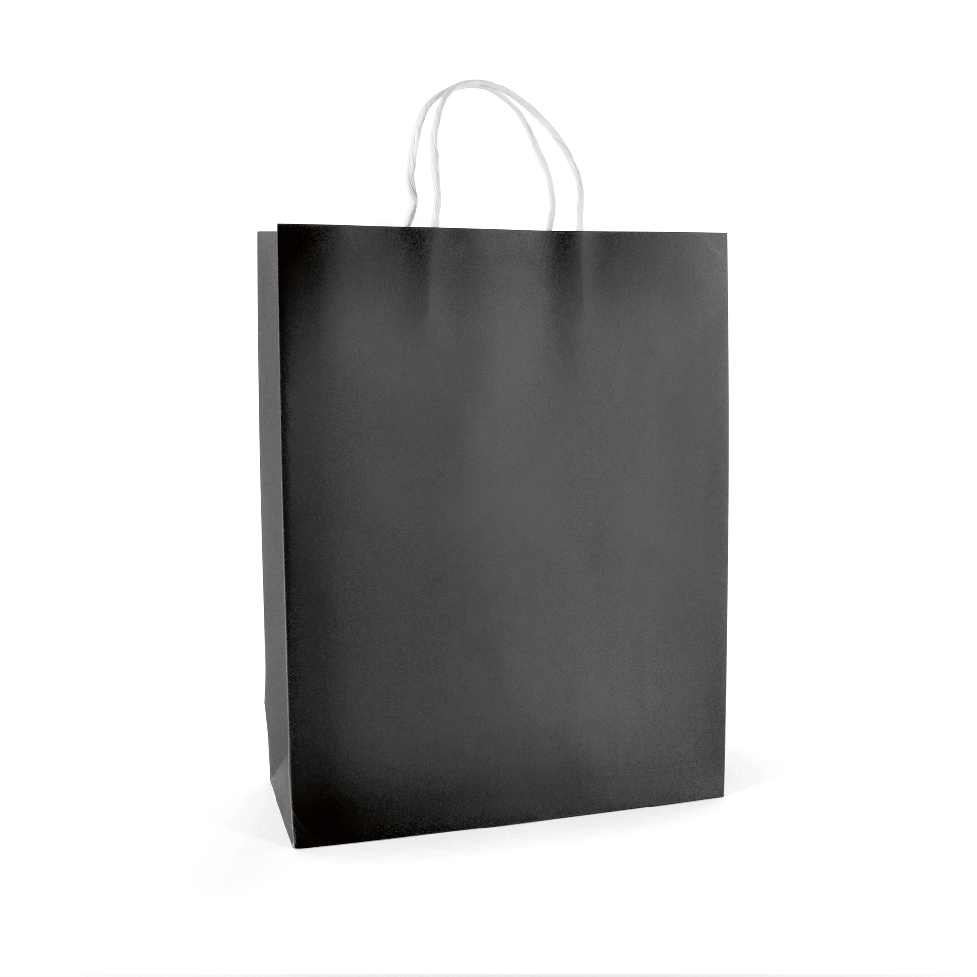 Picture of Brunswick Large Coloured Paper Bag