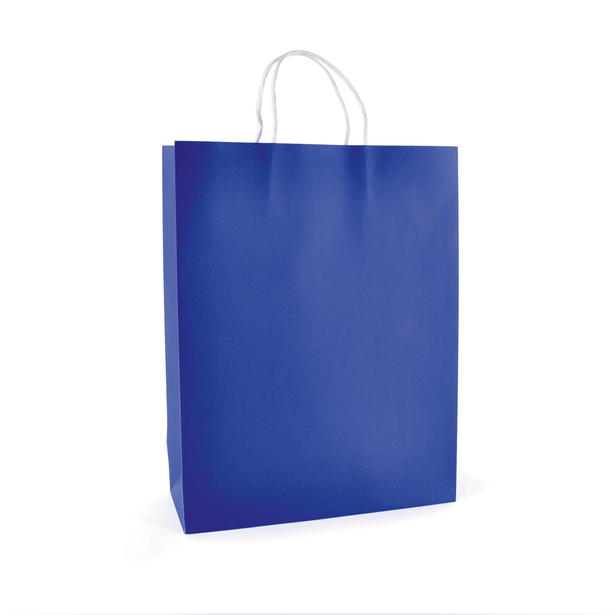 Picture of Brunswick Large Coloured Paper Bag