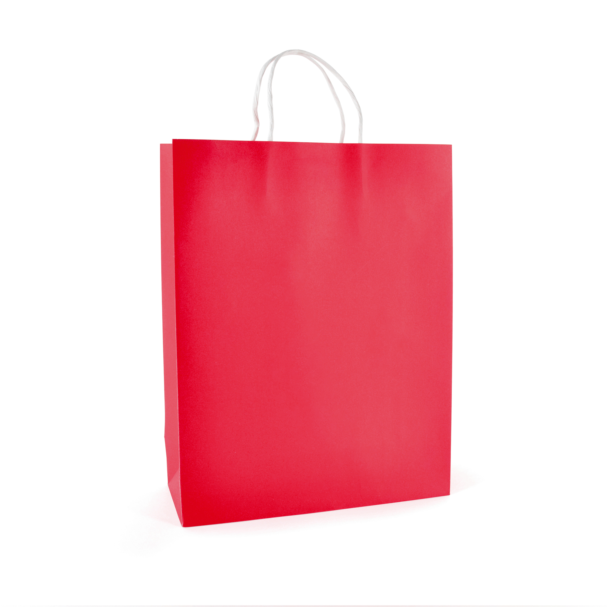 Picture of Brunswick Large Coloured Paper Bag