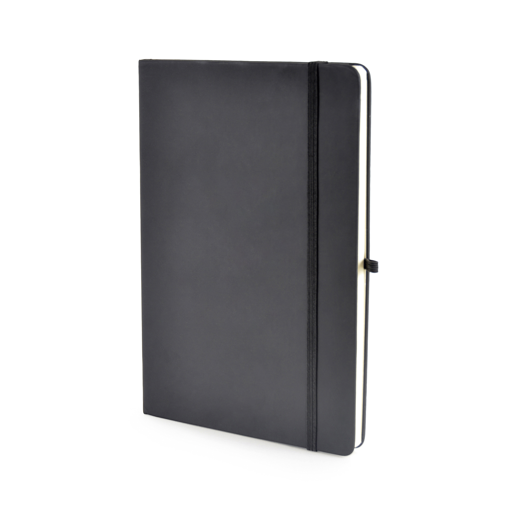 Picture of A5 Mole Plain Page Notebook