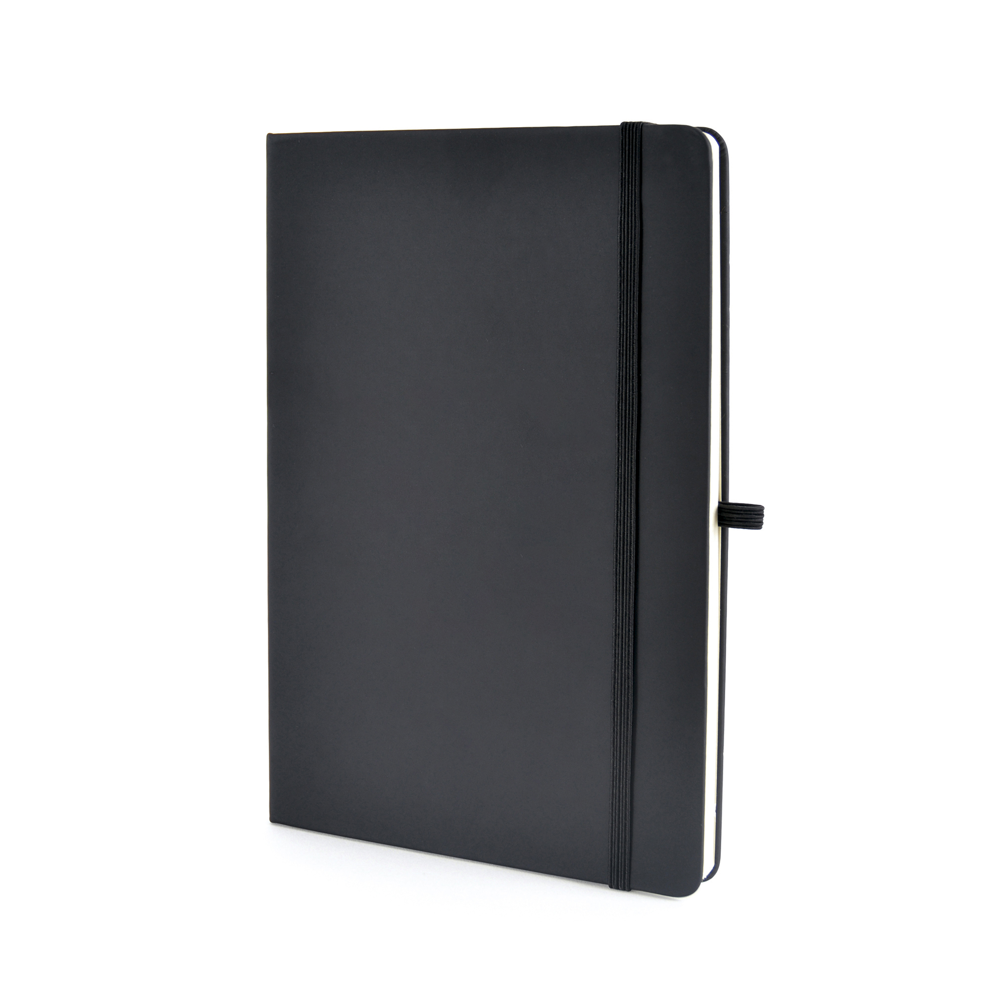 Picture of A5 Mole Graph Page Notebook