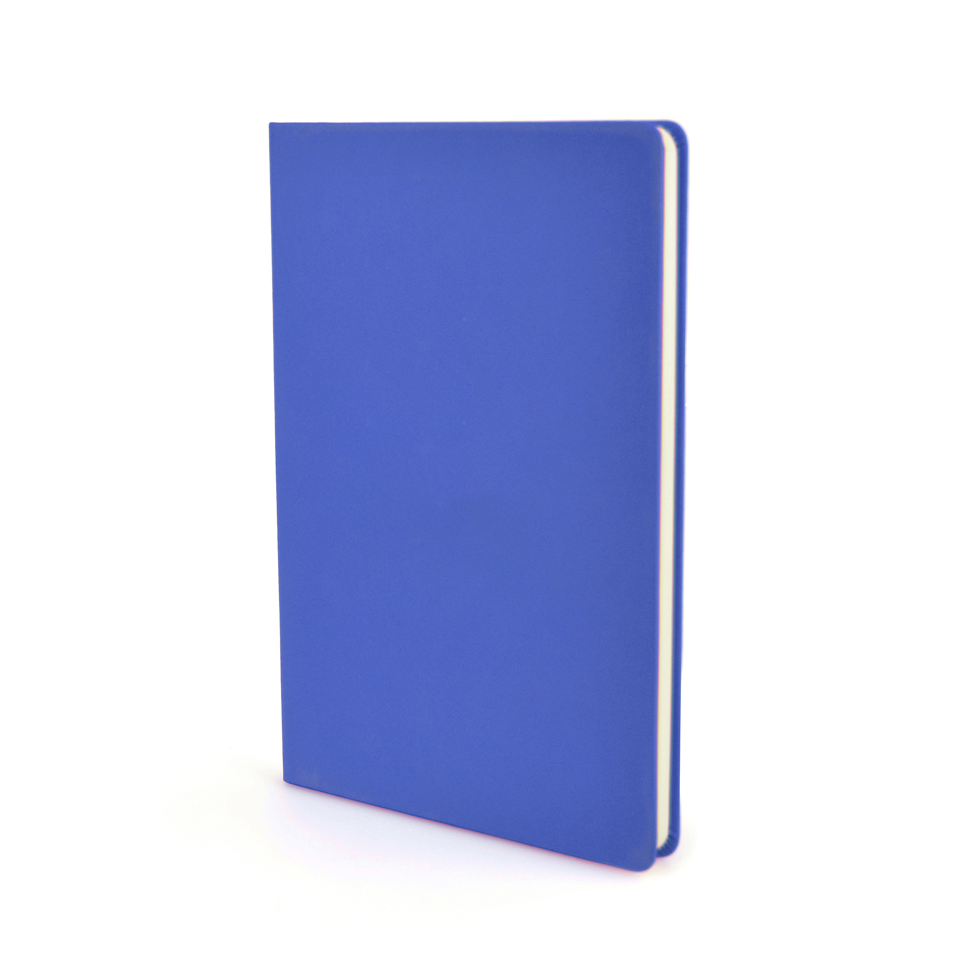 Picture of A5 Mole Notebook Lite