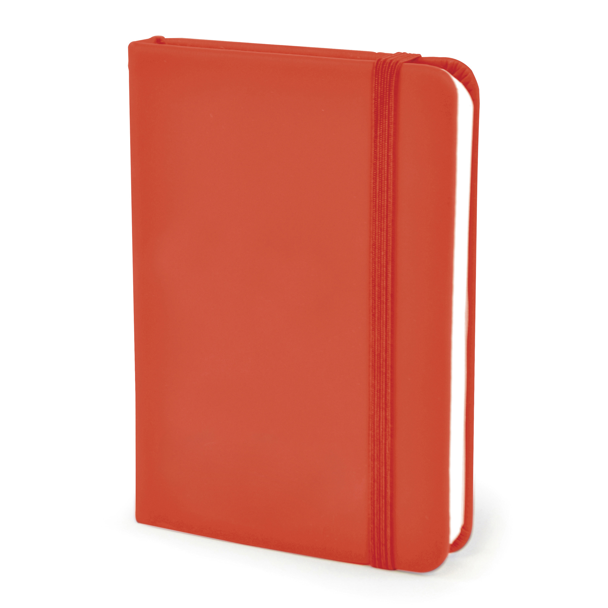 Picture of A7 Mole Notebook