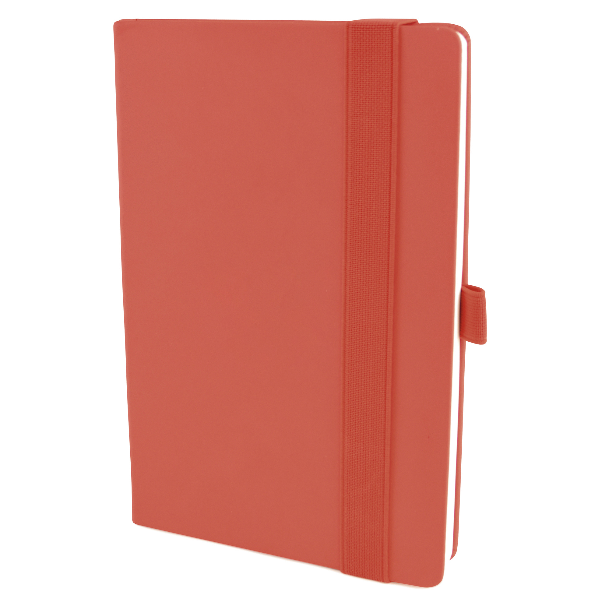 Picture of A5 Maxi Mole Notebook