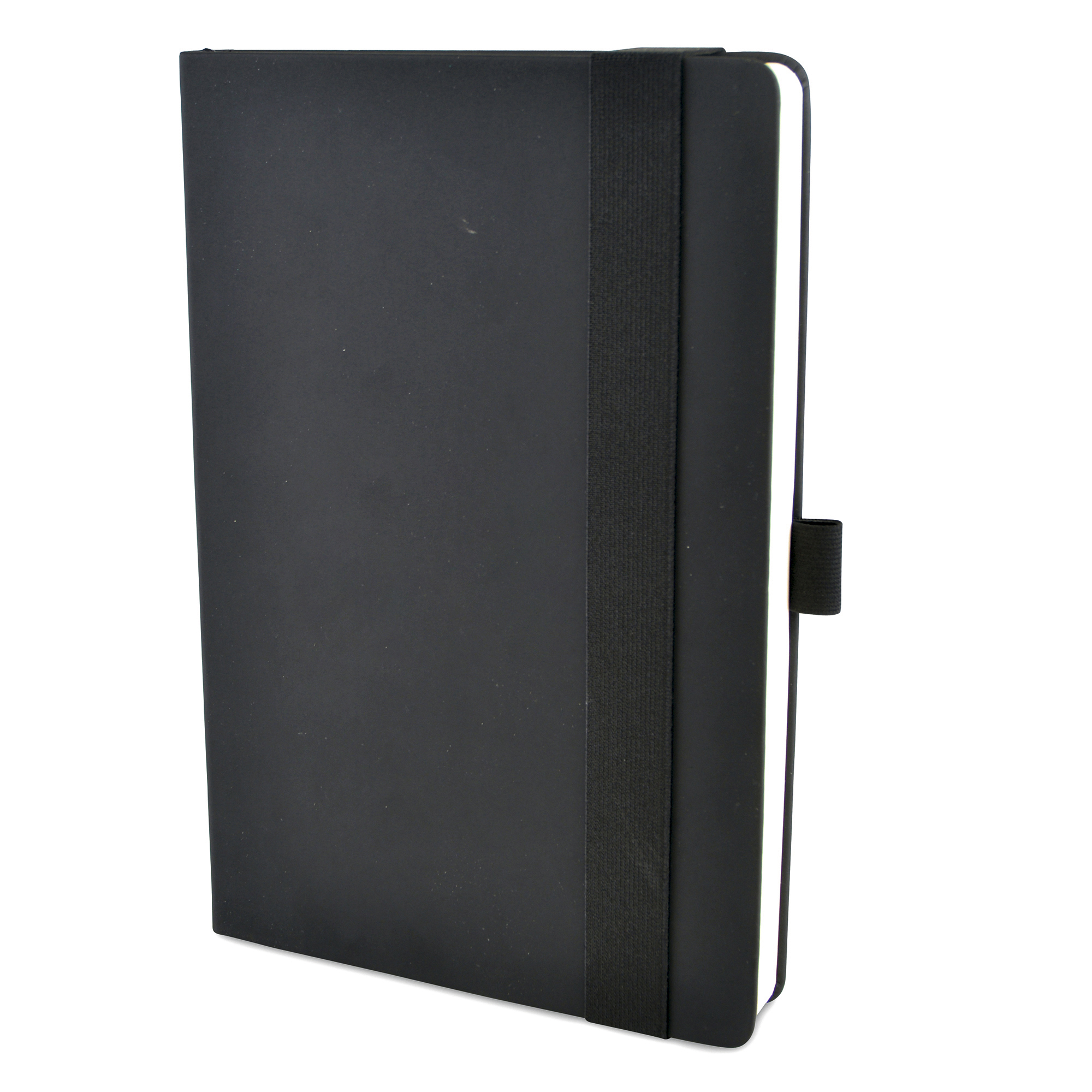 Picture of A5 Maxi Mole Notebook