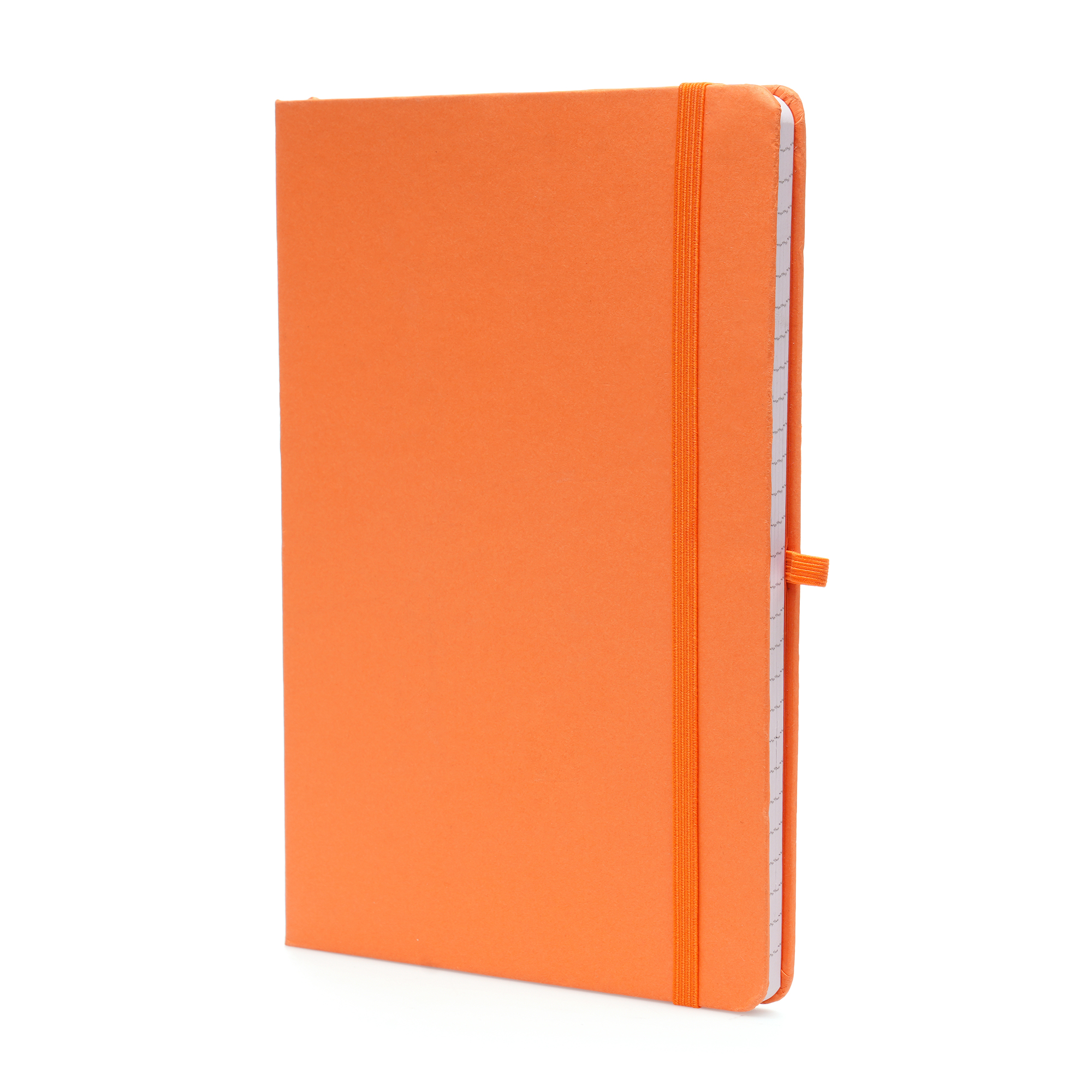 Picture of A5 Coloured Nebraska Recycled Notebook
