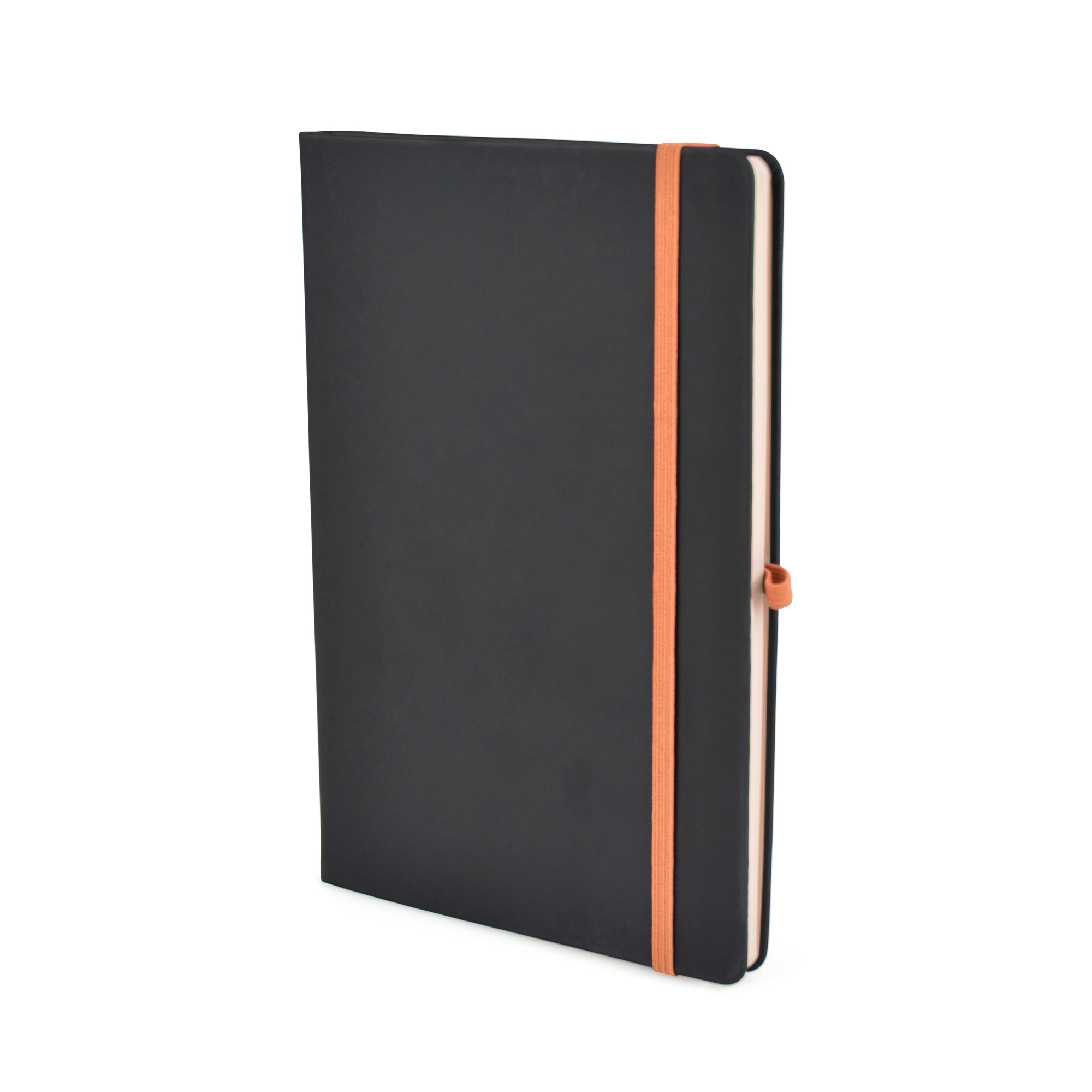 Picture of A5 Black Mole Notebook