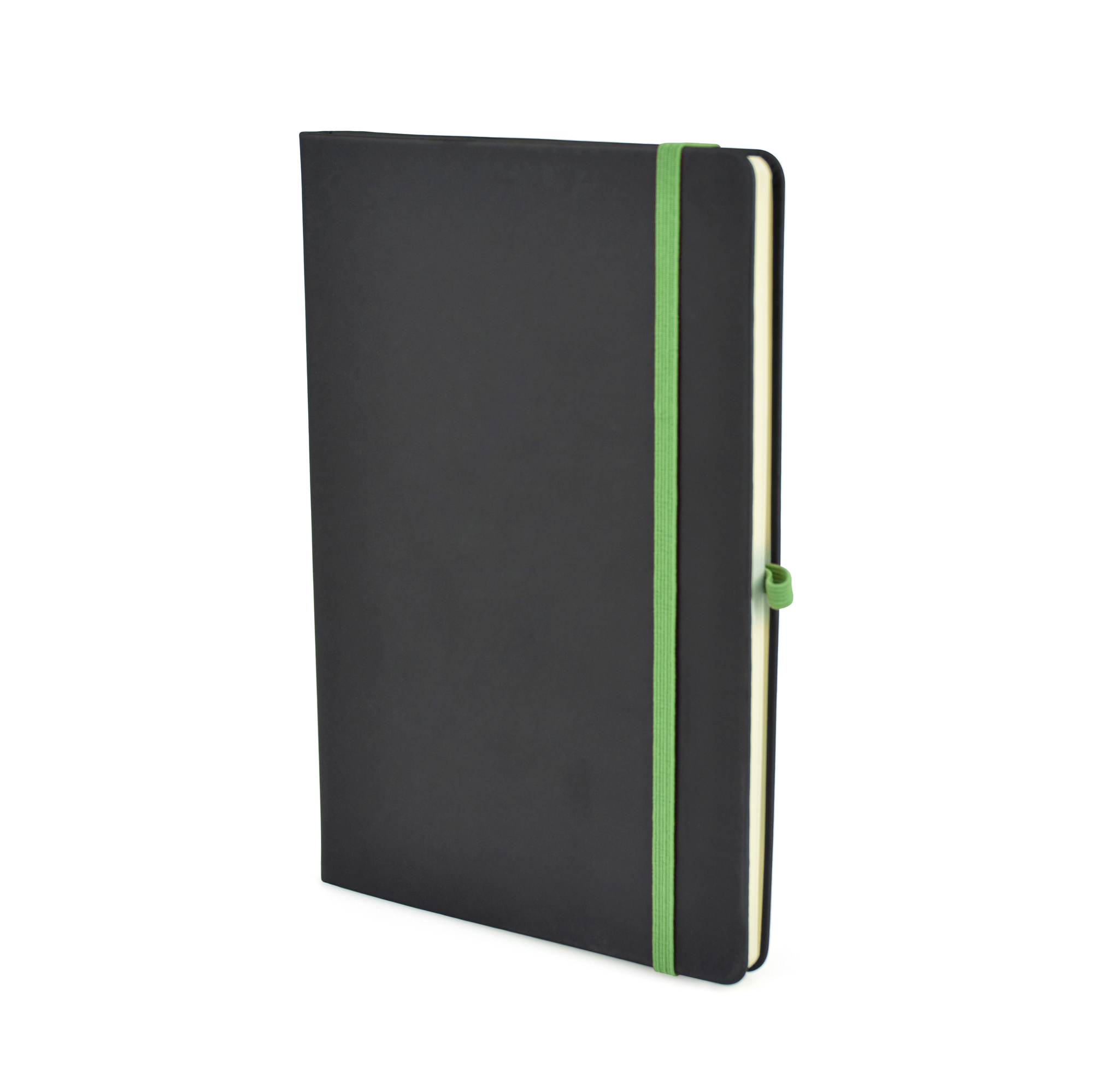Picture of A5 Black Mole Notebook