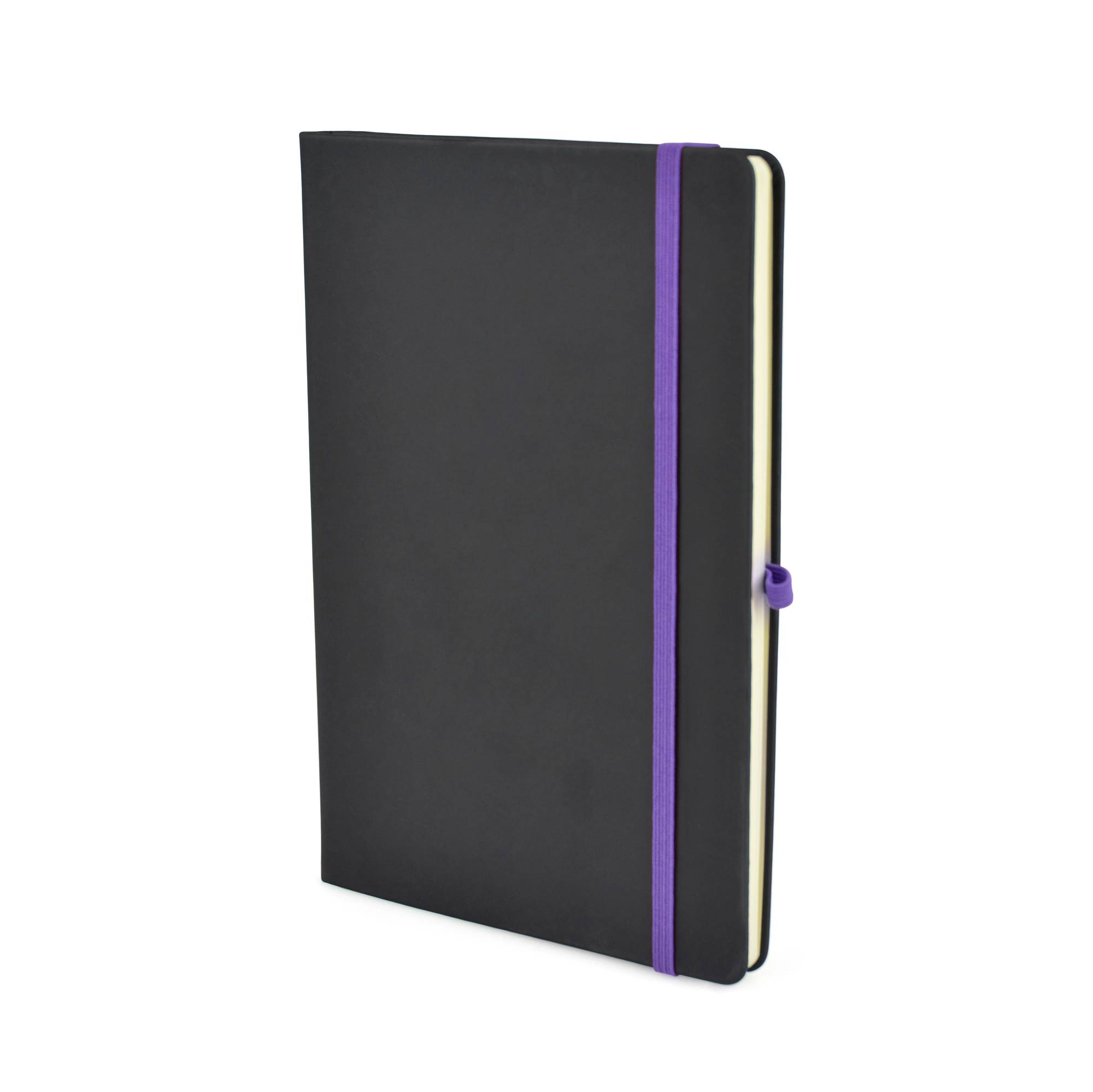 Picture of A5 Black Mole Notebook