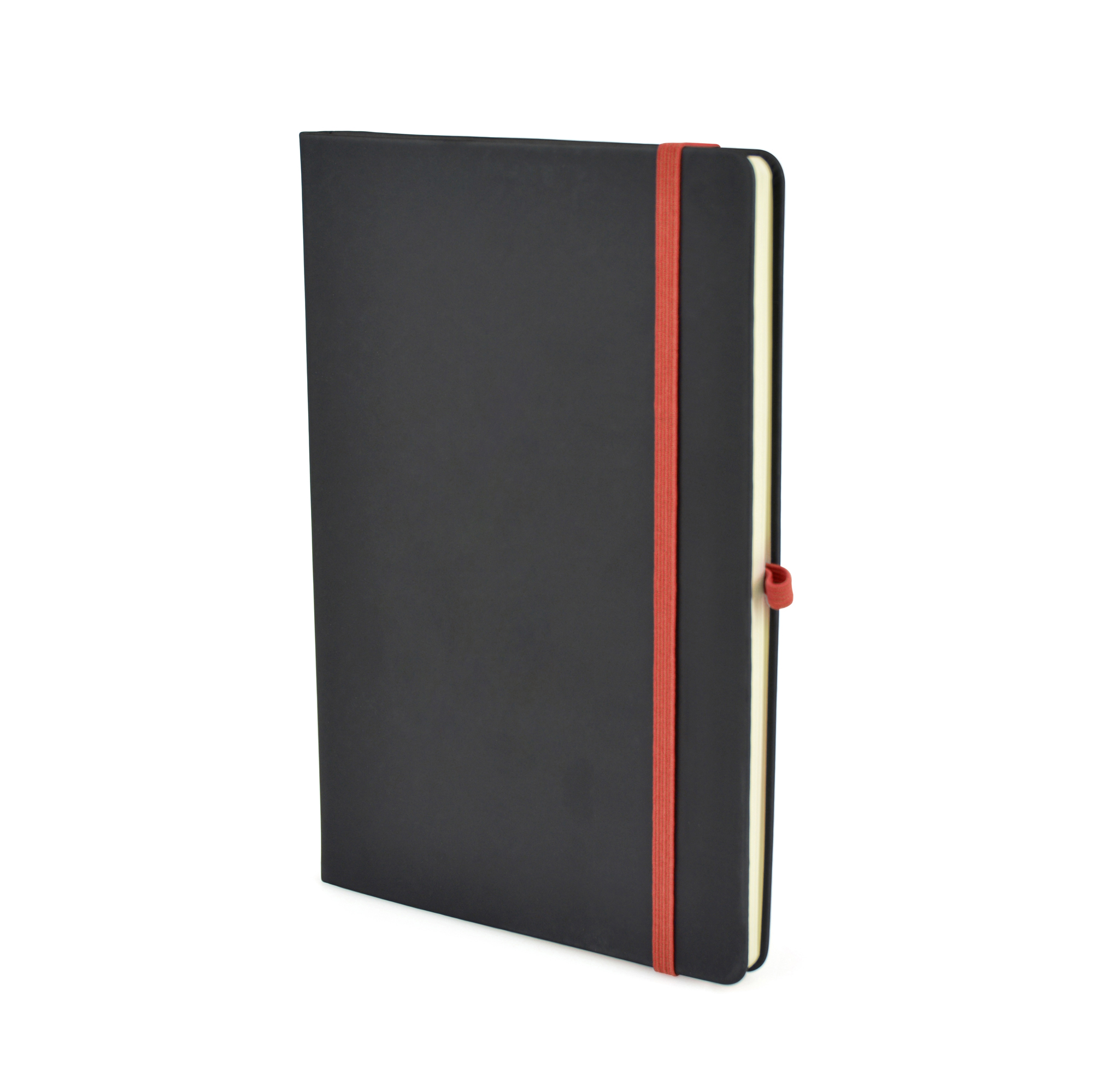 Picture of A5 Black Mole Notebook