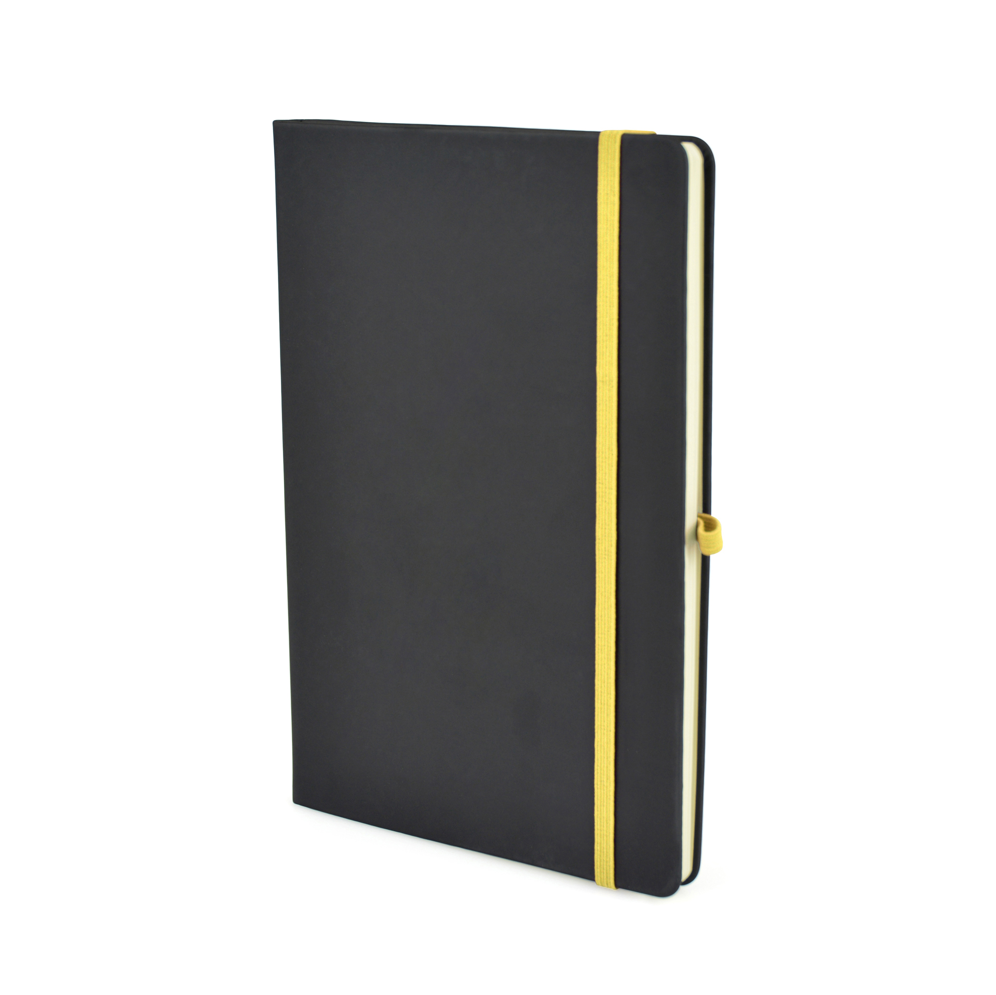 Picture of A5 Black Mole Notebook