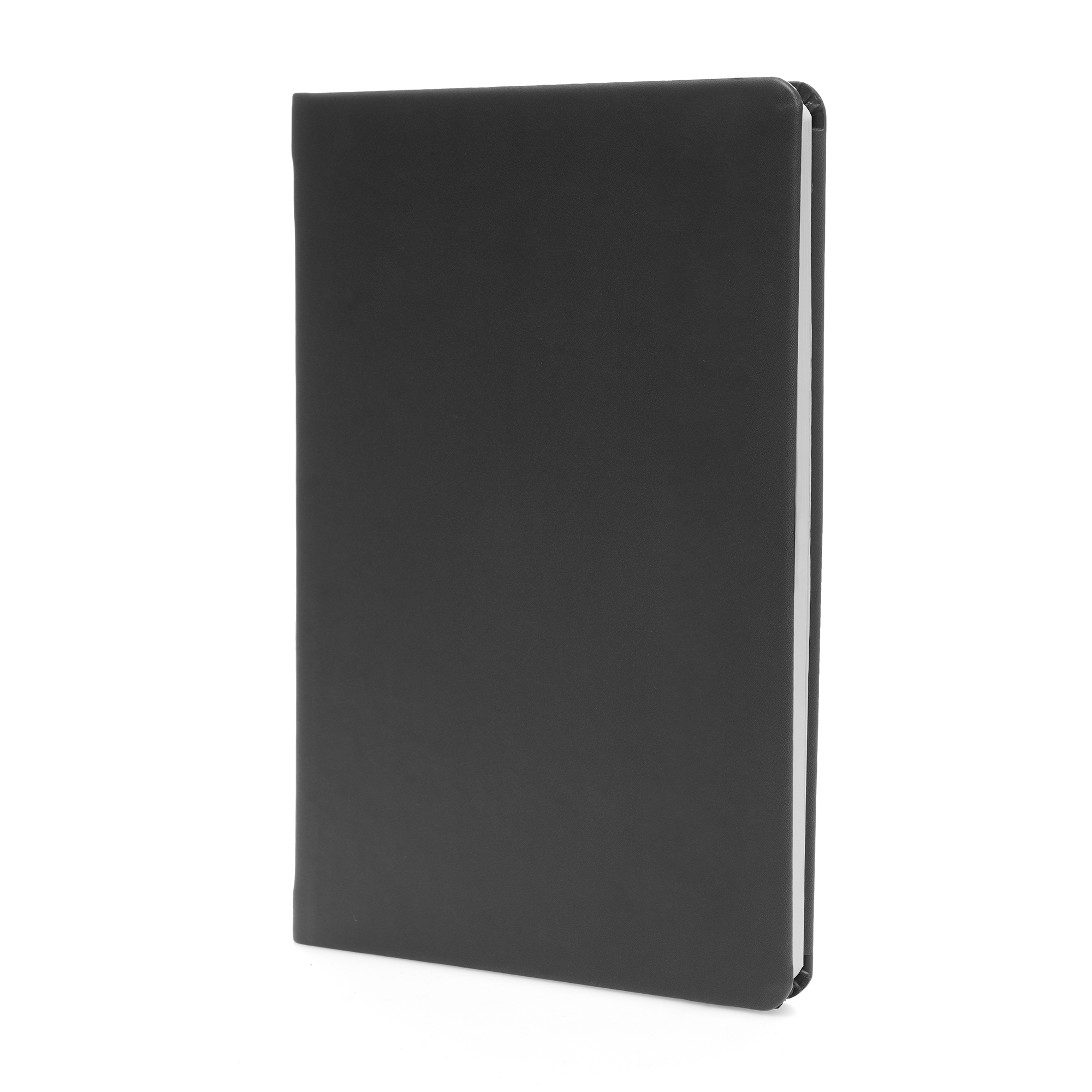 Picture of A5 Apple Skin Notebook