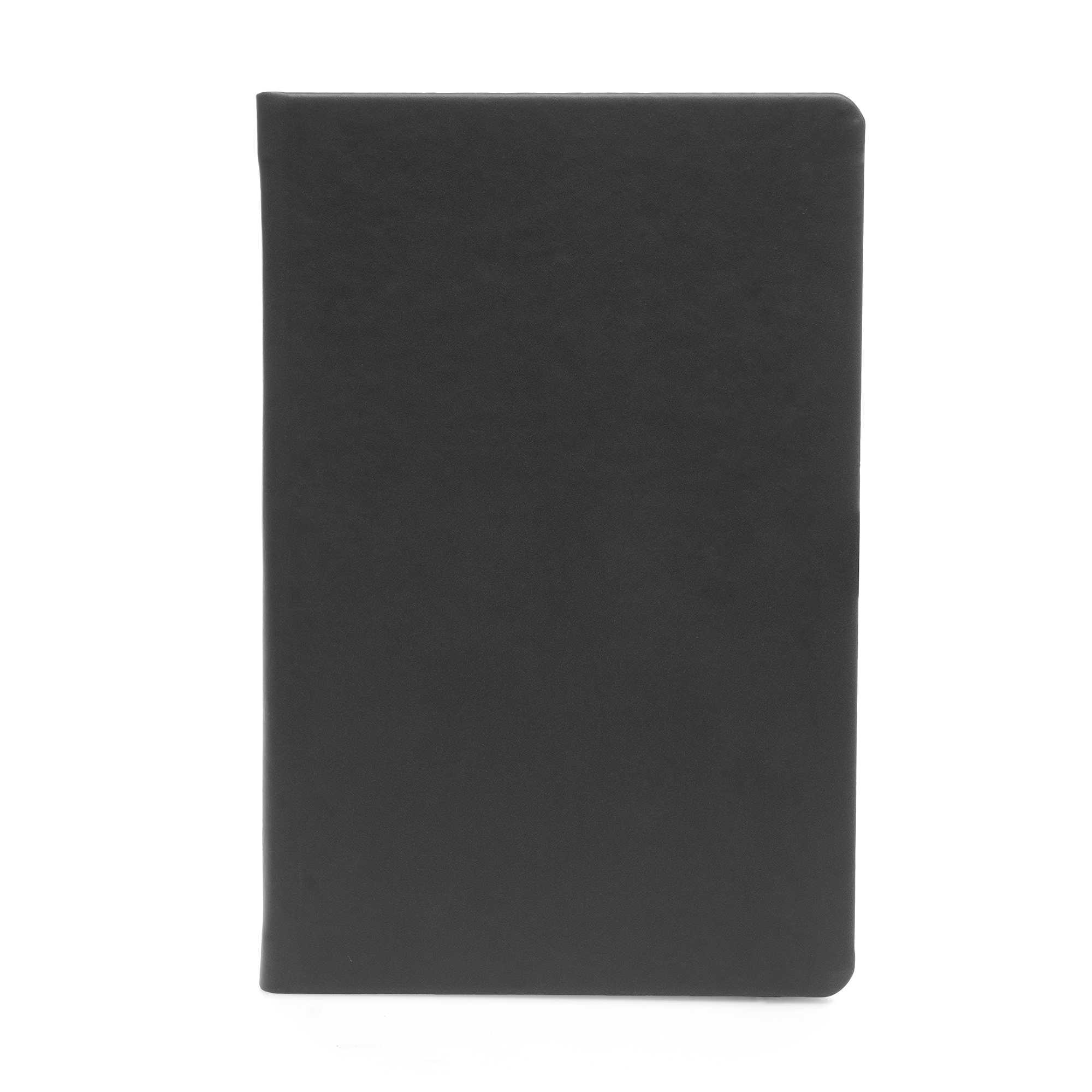 Picture of A5 Apple Skin Notebook