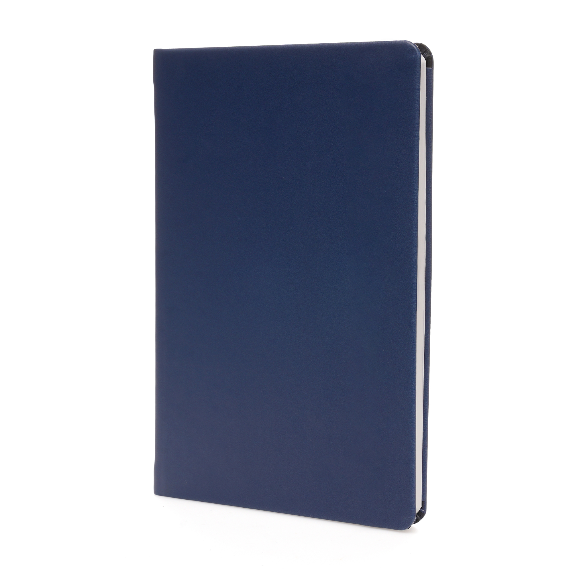 Picture of A5 Apple Skin Notebook