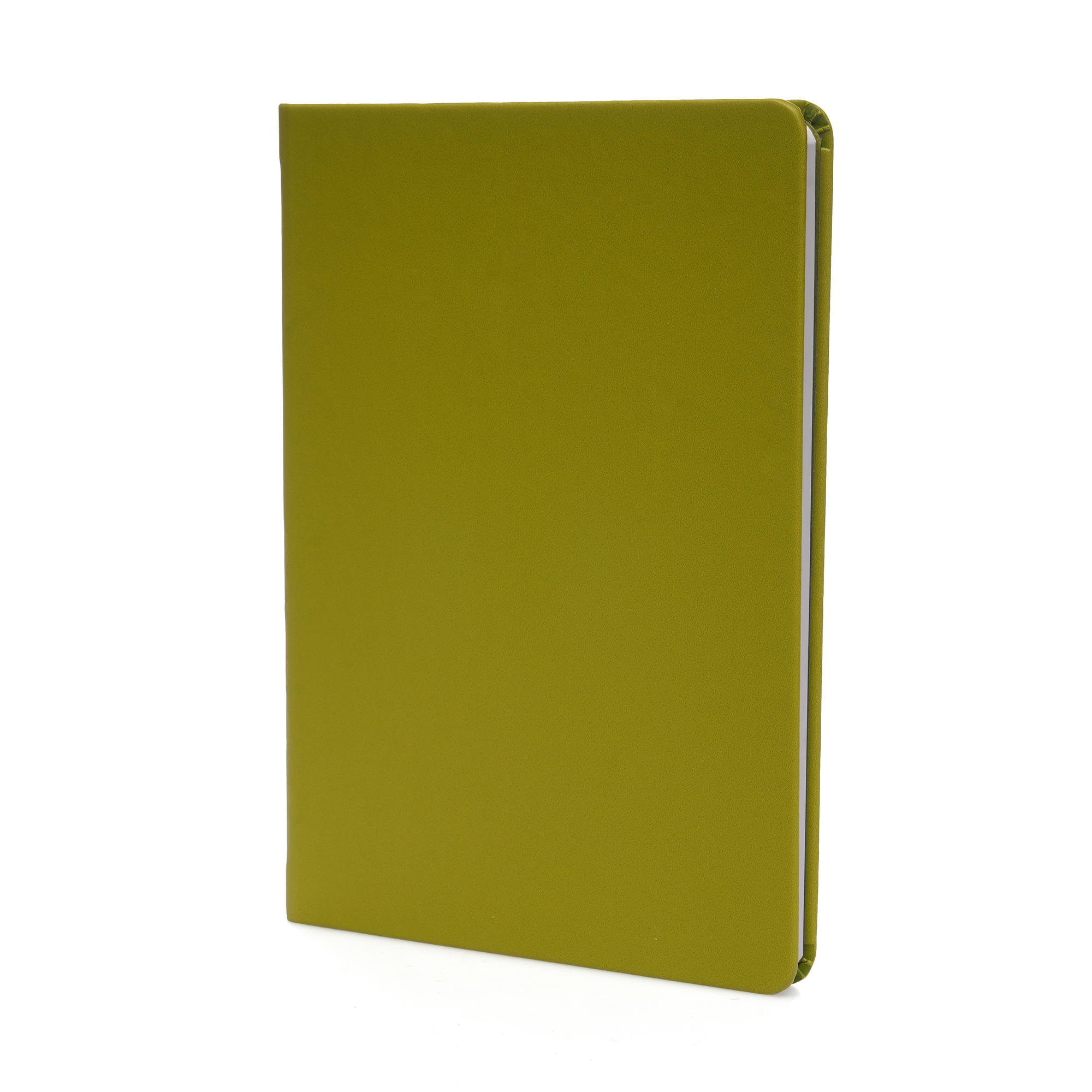 Picture of A5 Apple Skin Notebook