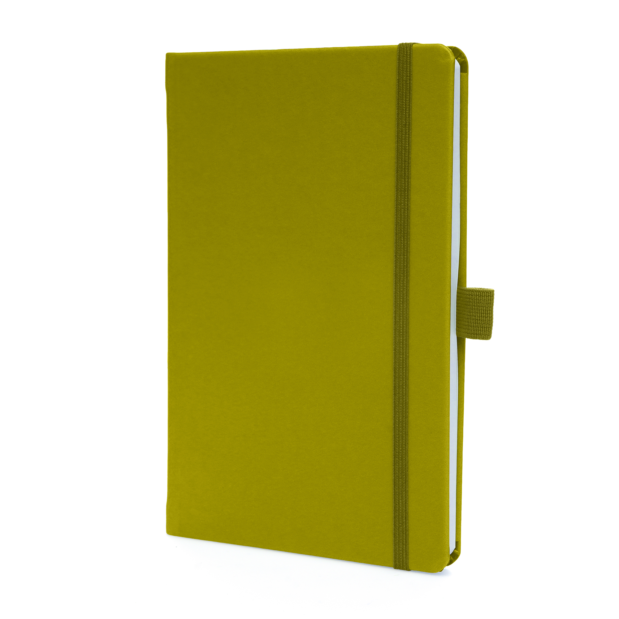 Picture of A5 Apple Skin Notebook