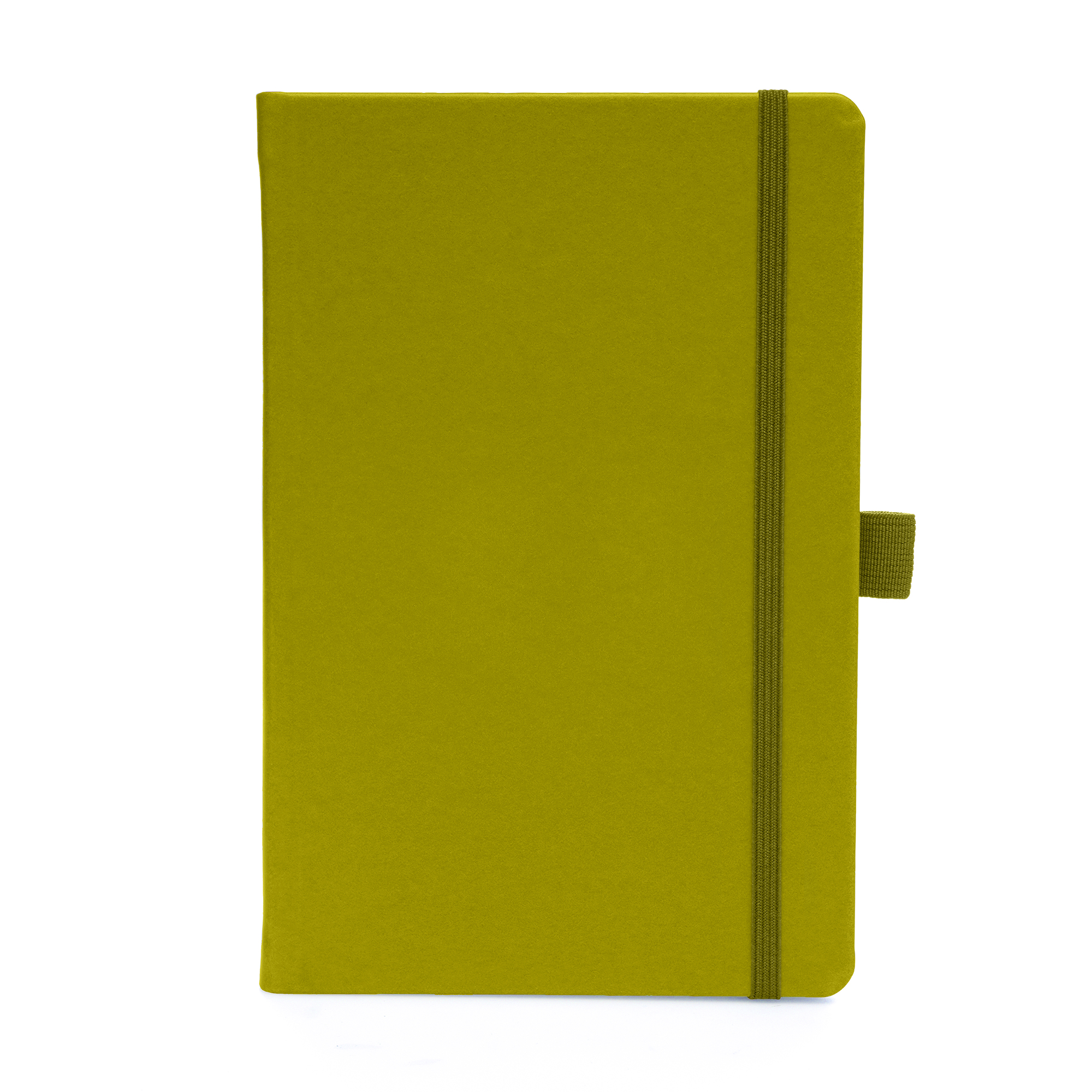 Picture of A5 Apple Skin Notebook