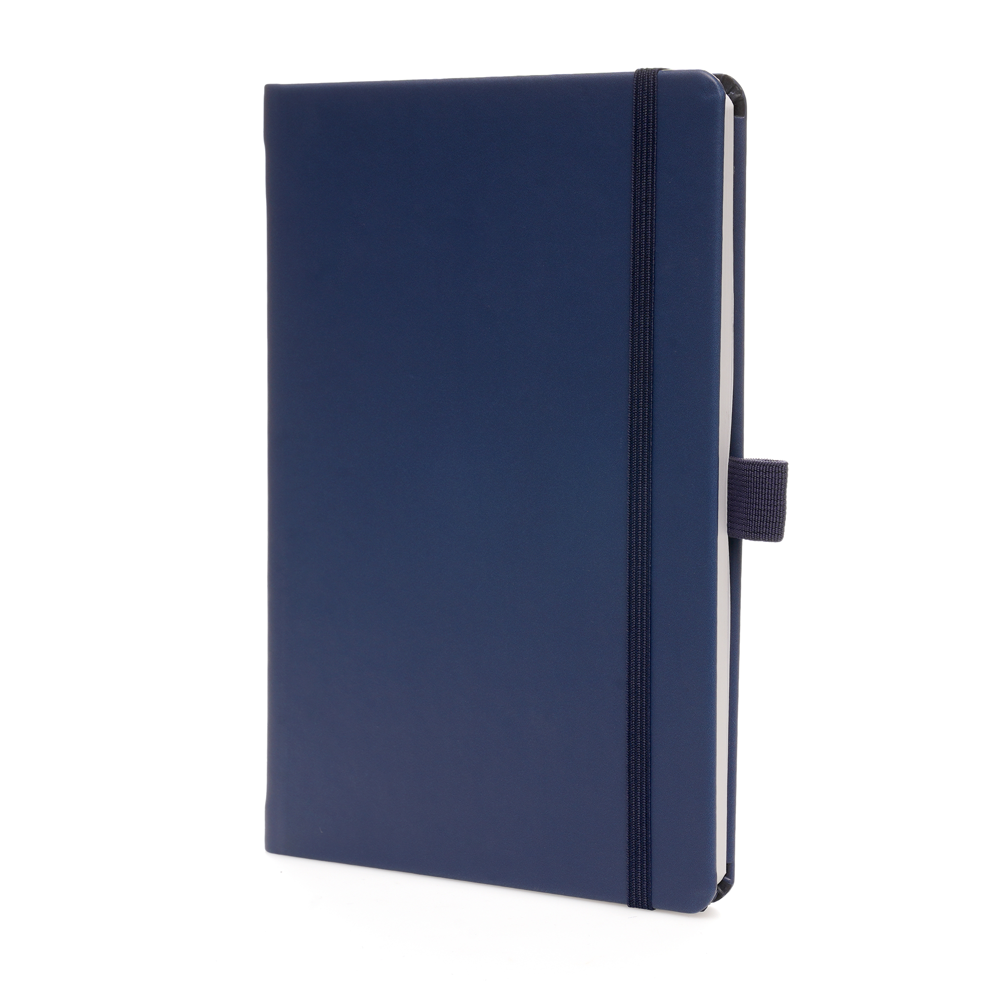 Picture of A5 Apple Skin Notebook