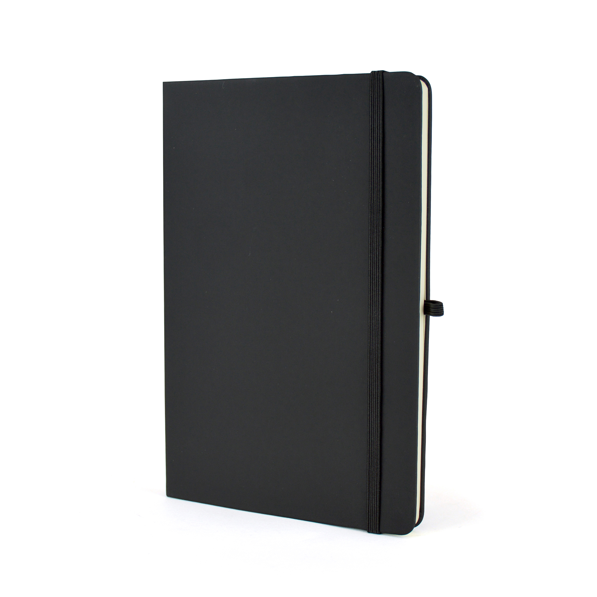 Picture of A5 Antibac Mole Notebook