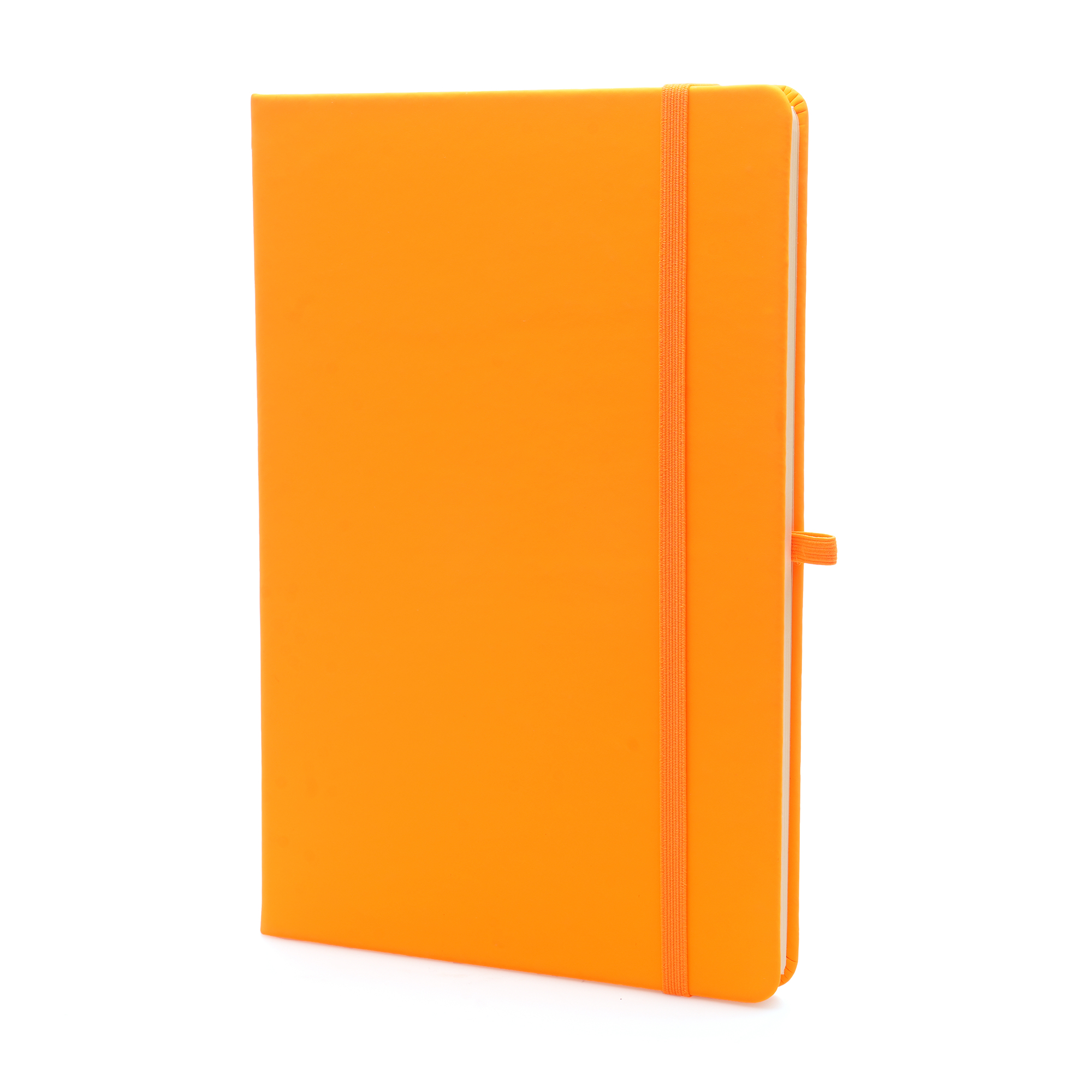 Picture of A5 Neon Mole Notebook