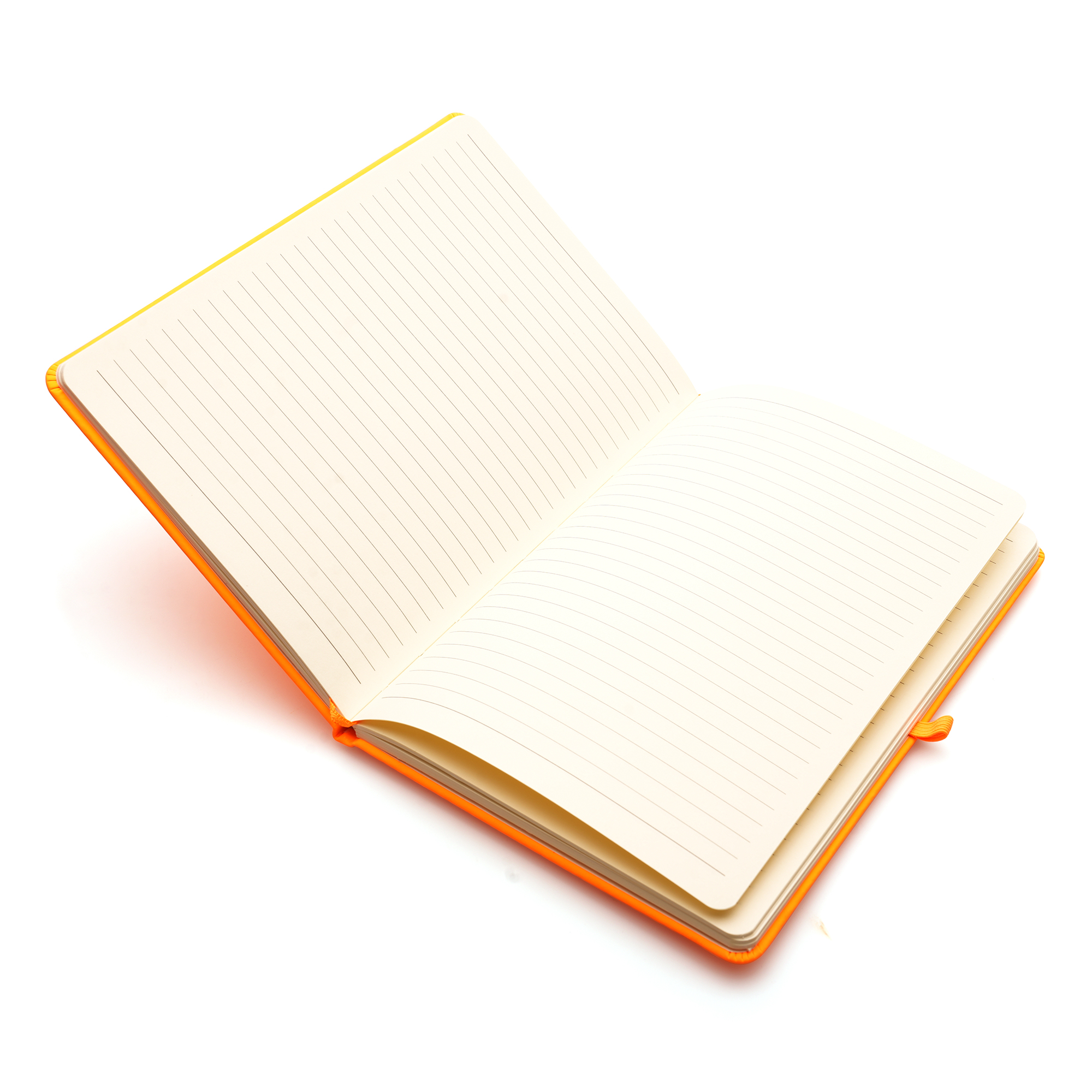Picture of A5 Neon Mole Notebook