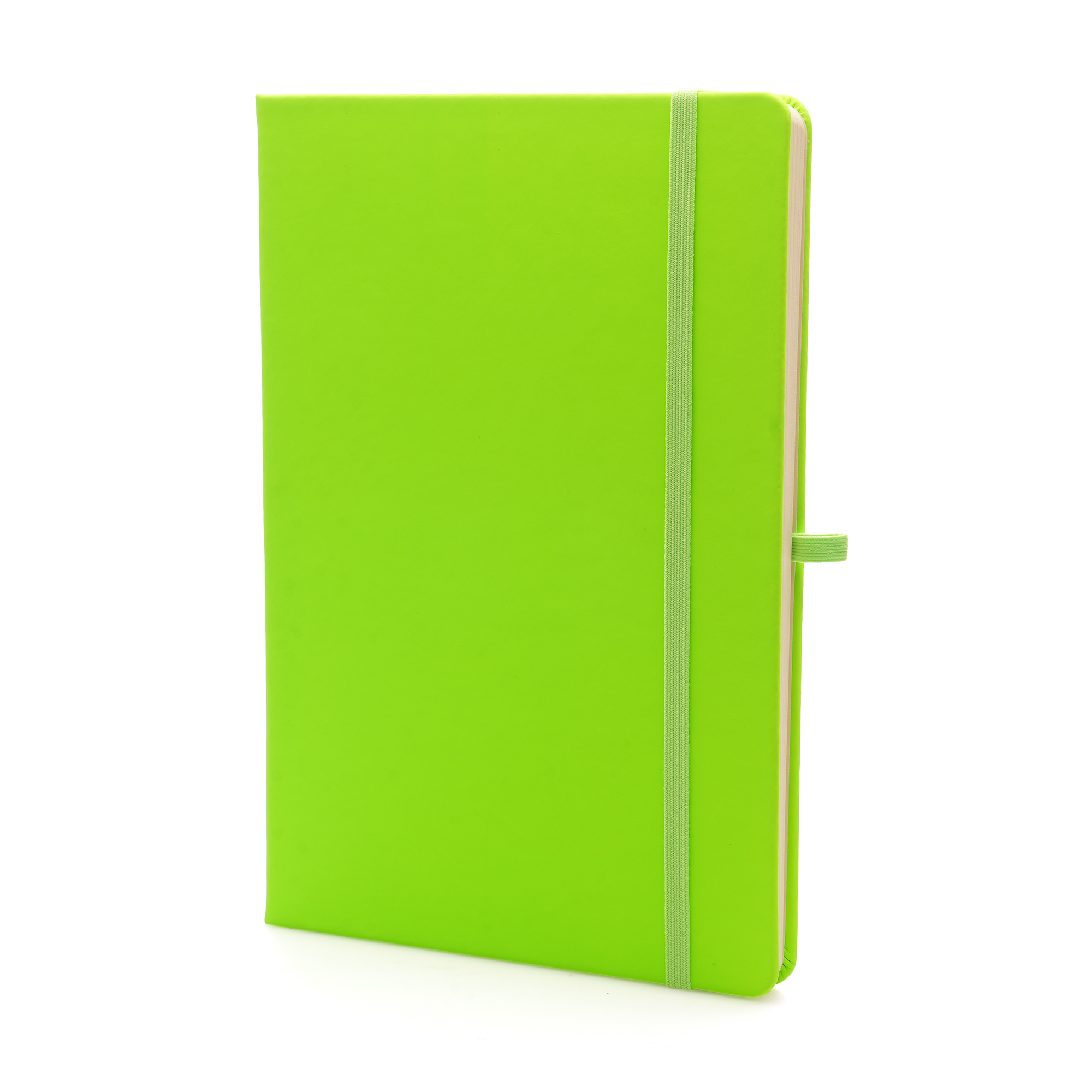 Picture of A5 Neon Mole Notebook