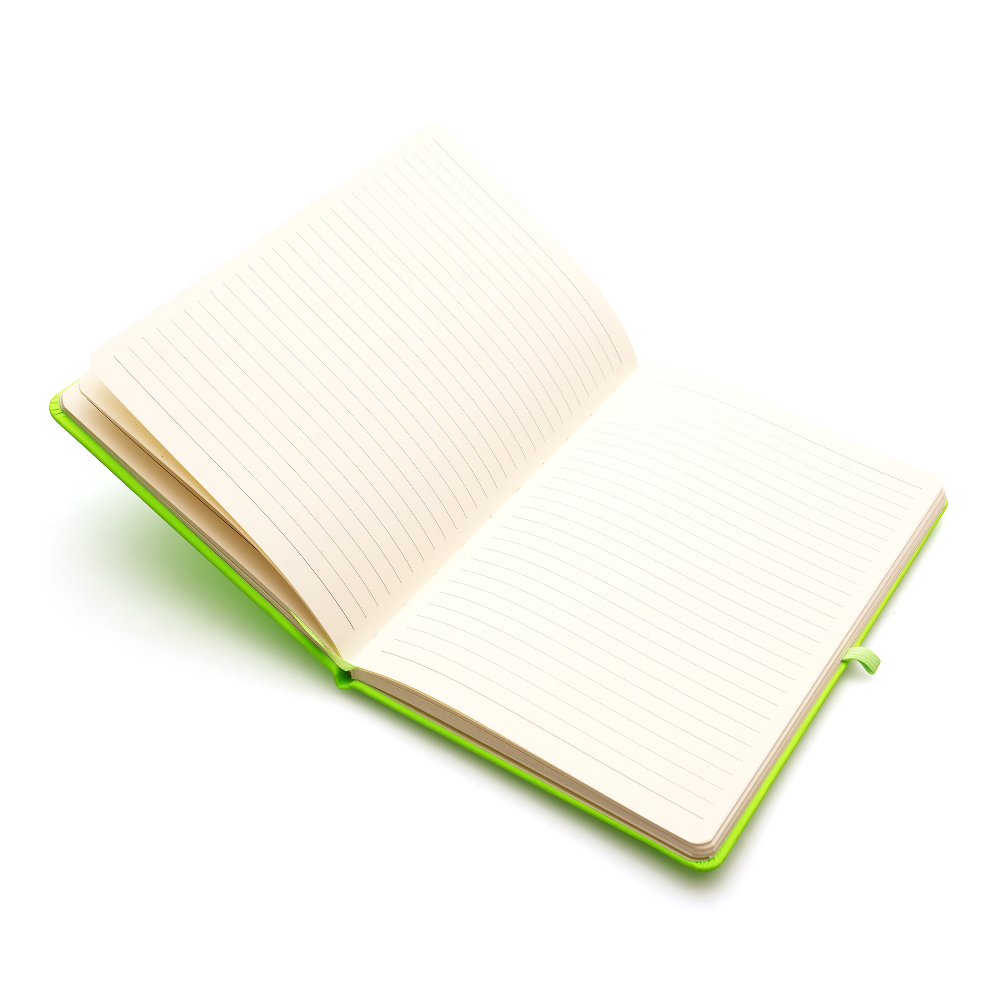 Picture of A5 Neon Mole Notebook