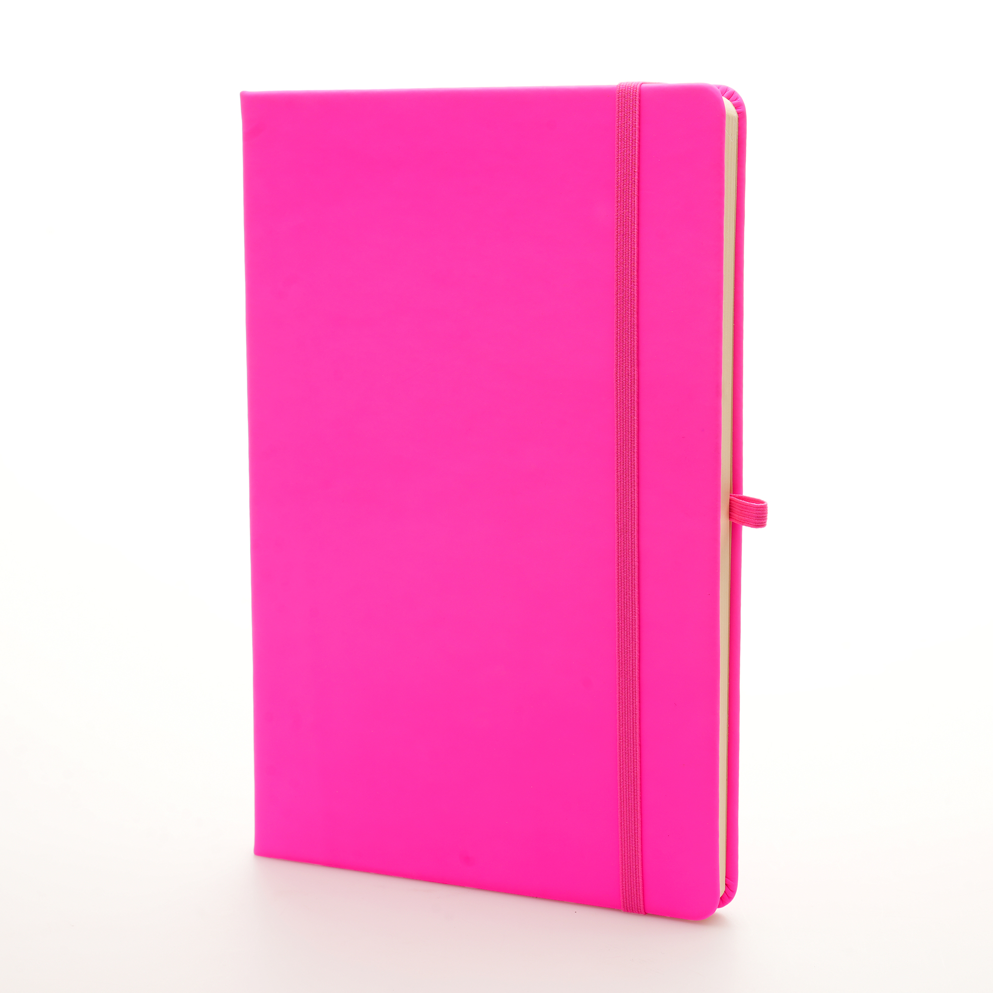 Picture of A5 Neon Mole Notebook