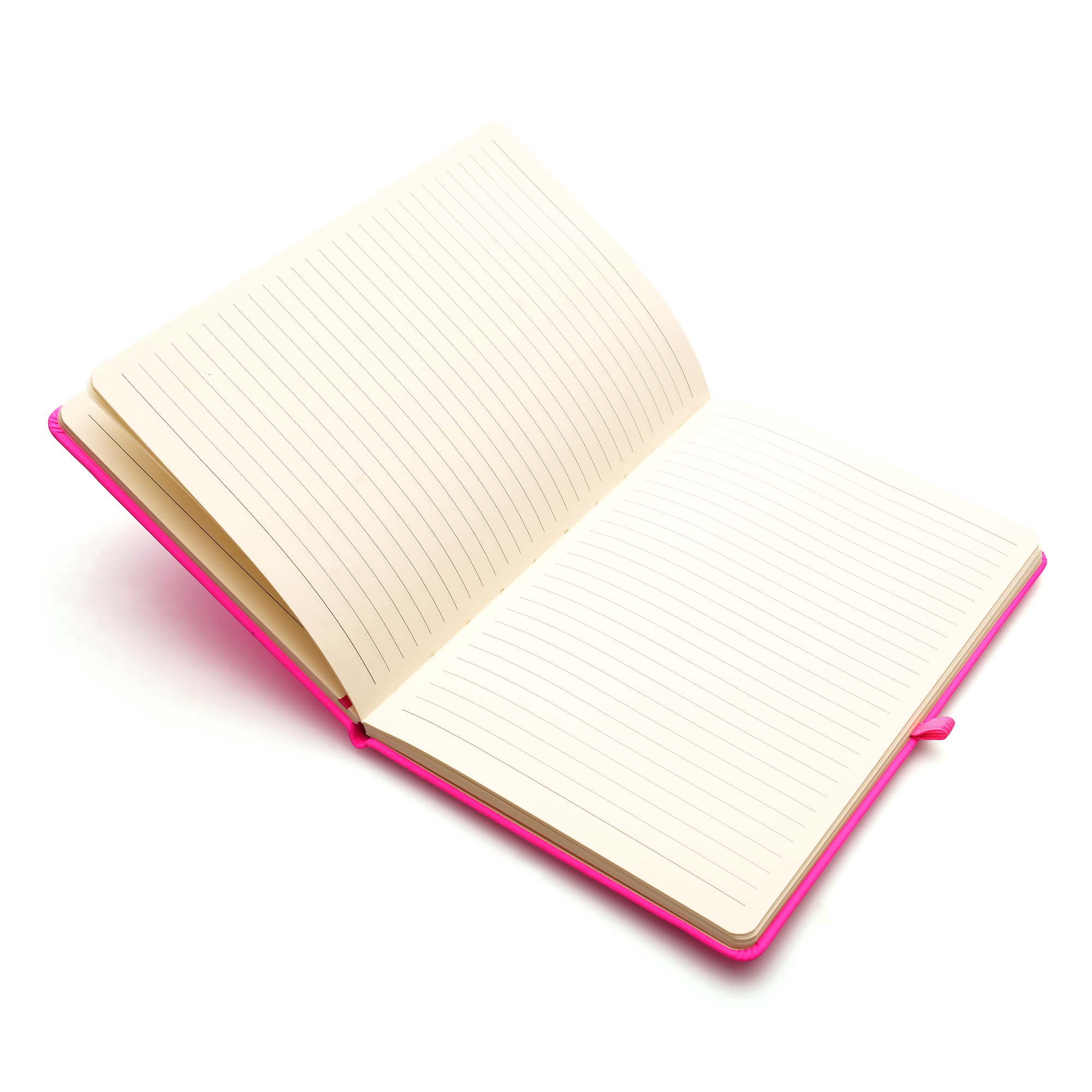 Picture of A5 Neon Mole Notebook