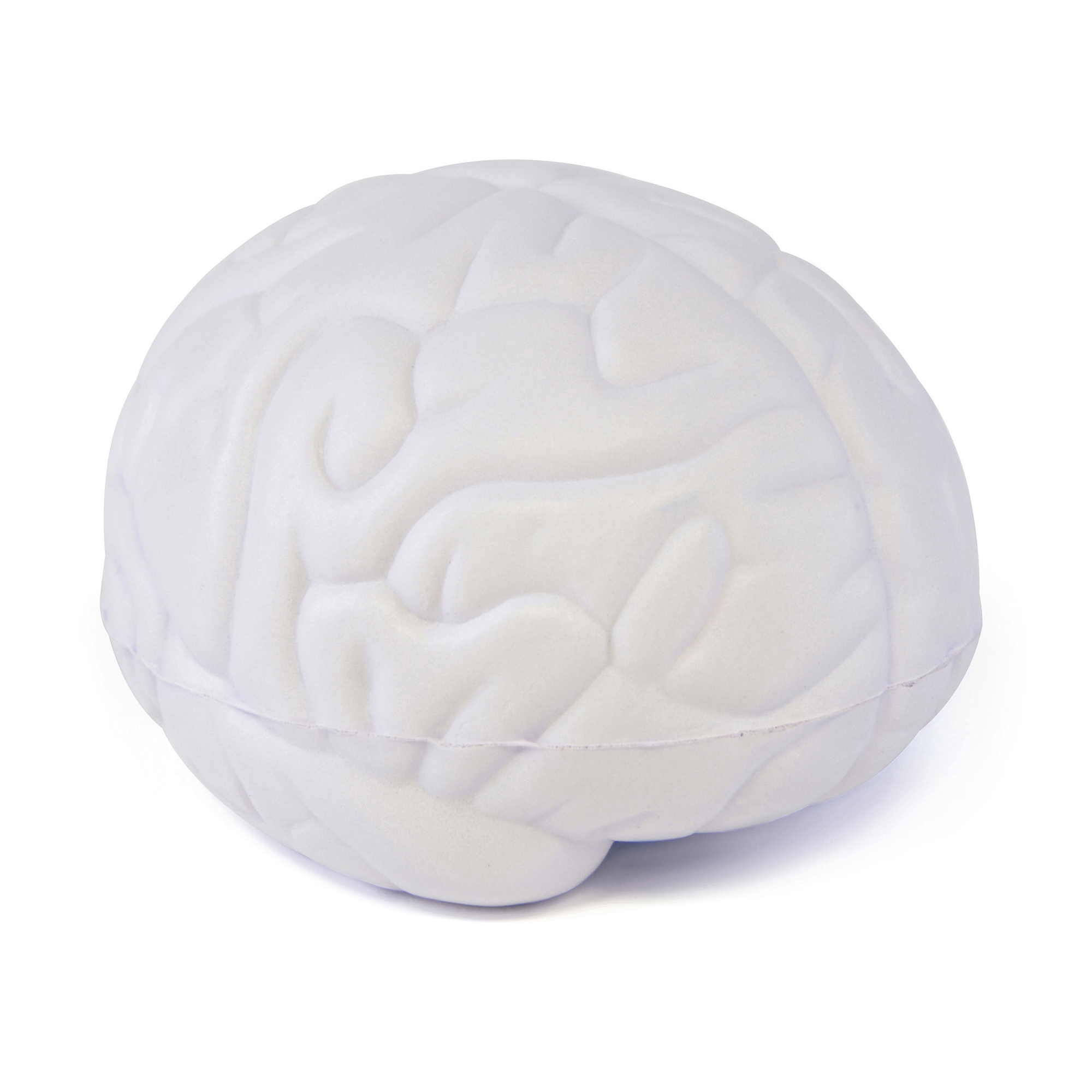 Picture of Stress Brain