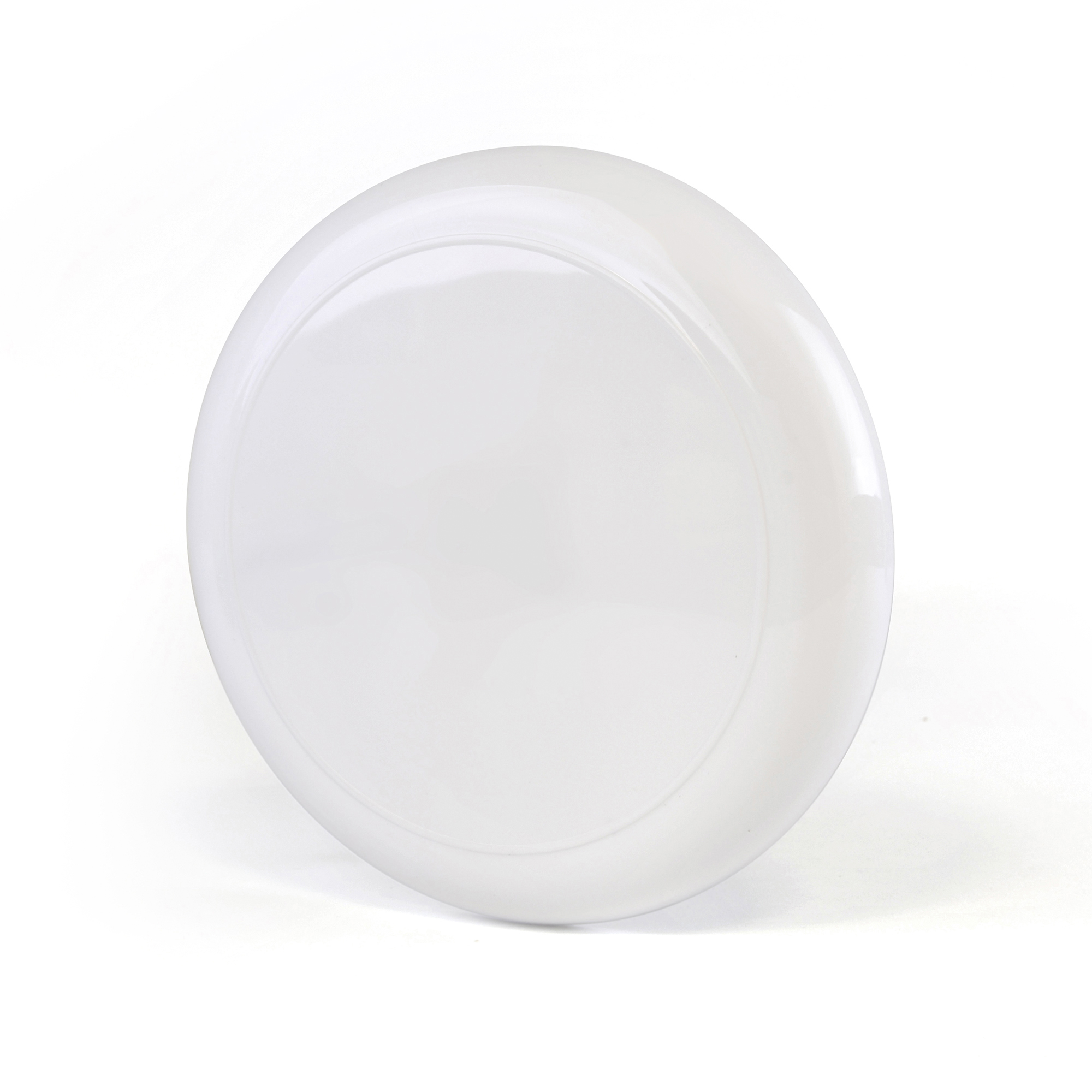 Picture of Frisbee