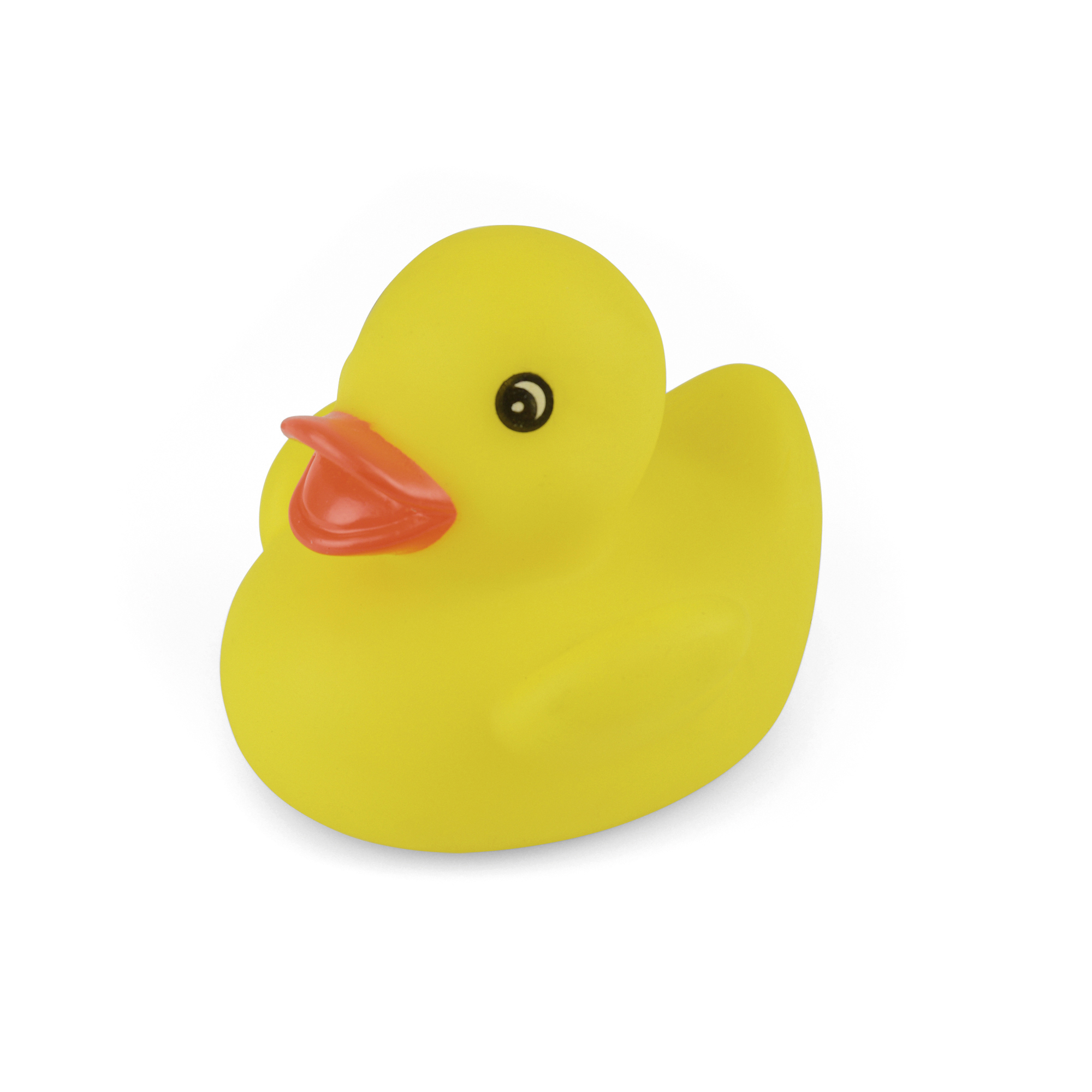 Picture of Rubber Duck